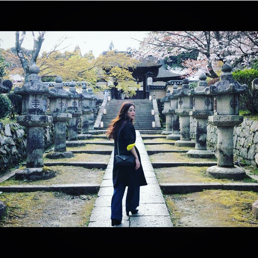 さきえさんのインスタグラム写真 - (さきえInstagram)「園城寺三井寺からの琵琶湖疏水。 桜も相まって殊更良し。 . . #三井寺 #園城寺 #琵琶湖疏水 #桜 #cherryblossom #観音堂 #秘仏 #三井寺観音堂は33年に一度の開帳#素晴らしかった。#総本山園城寺 #国宝 #重要文化財 #寺社仏閣 #桜の名所 #琵琶湖 #滋賀県 #photooftheday #photography #japan」4月8日 21時17分 - sakie110