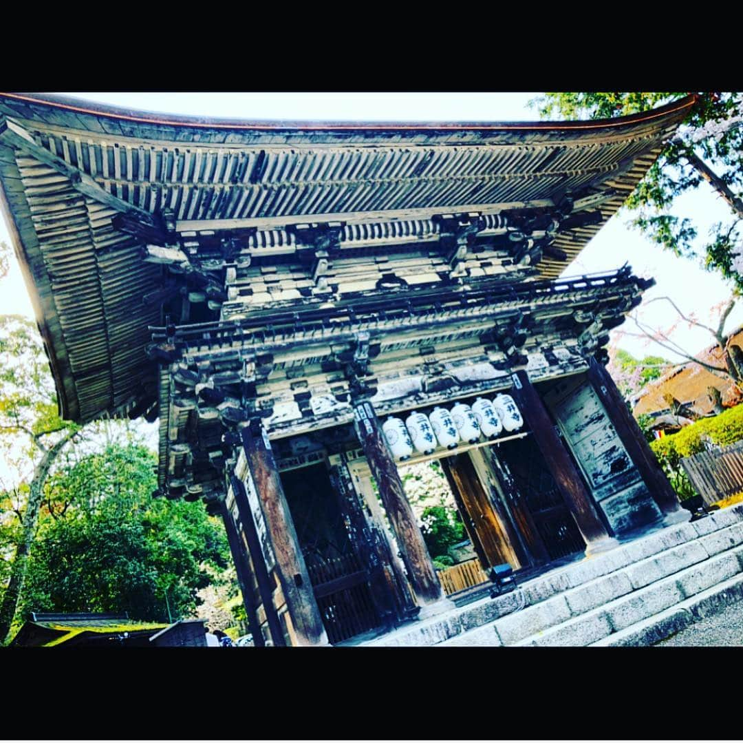 さきえさんのインスタグラム写真 - (さきえInstagram)「園城寺三井寺からの琵琶湖疏水。 桜も相まって殊更良し。 . . #三井寺 #園城寺 #琵琶湖疏水 #桜 #cherryblossom #観音堂 #秘仏 #三井寺観音堂は33年に一度の開帳#素晴らしかった。#総本山園城寺 #国宝 #重要文化財 #寺社仏閣 #桜の名所 #琵琶湖 #滋賀県 #photooftheday #photography #japan」4月8日 21時17分 - sakie110