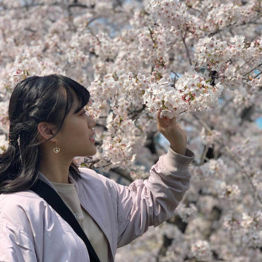 春本ゆきのインスタグラム：「お花見🌸🌸 夜桜とか見に行きたい🥺」