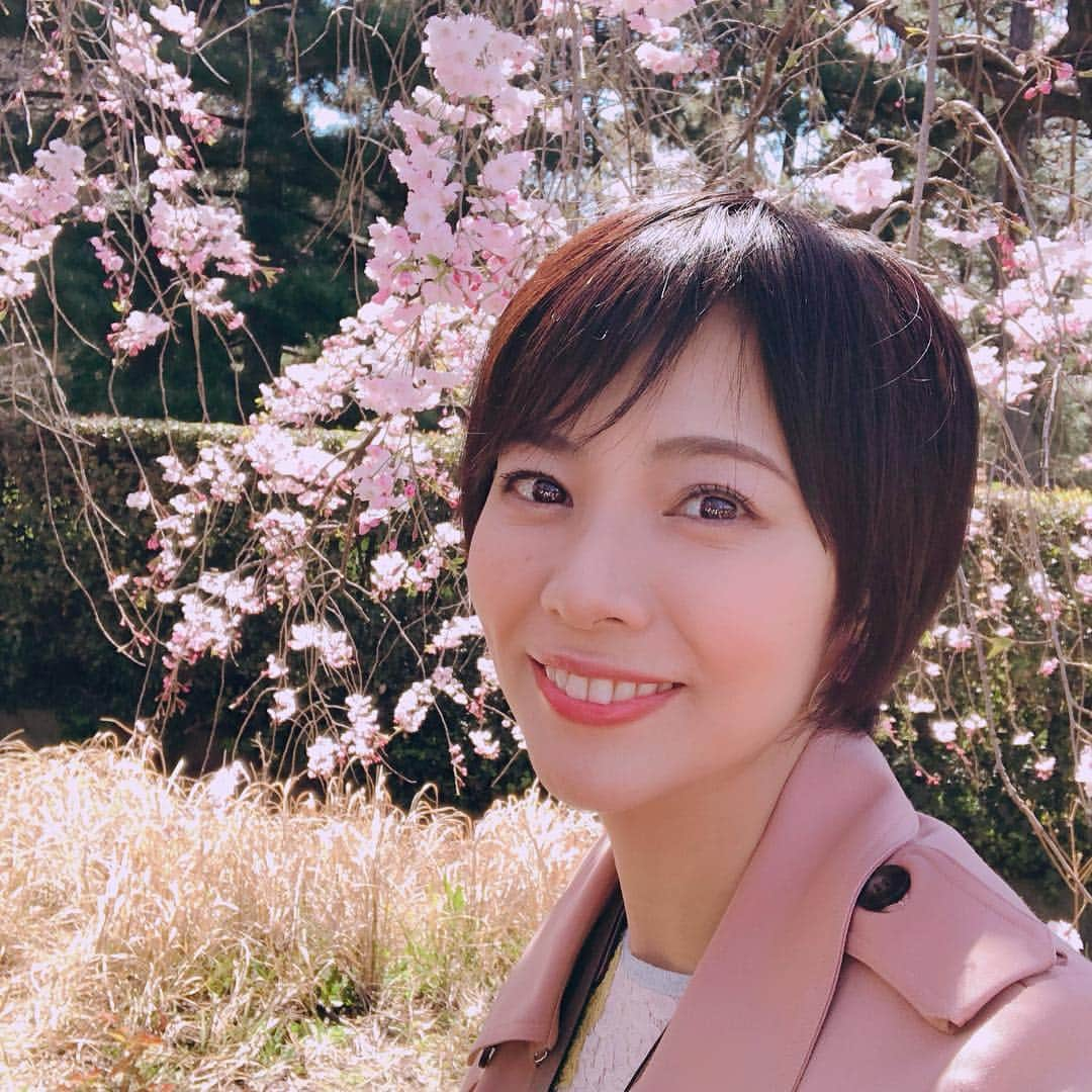 村井美樹さんのインスタグラム写真 - (村井美樹Instagram)「先週取材で行った皇居の乾通り桜の通り抜け🌸 . #桜 #皇居 #乾通り #乾通り一般公開 #こけし #旅こけし #今晃工人 #今晃 ＃kokeshi」4月8日 21時31分 - miki_murai_