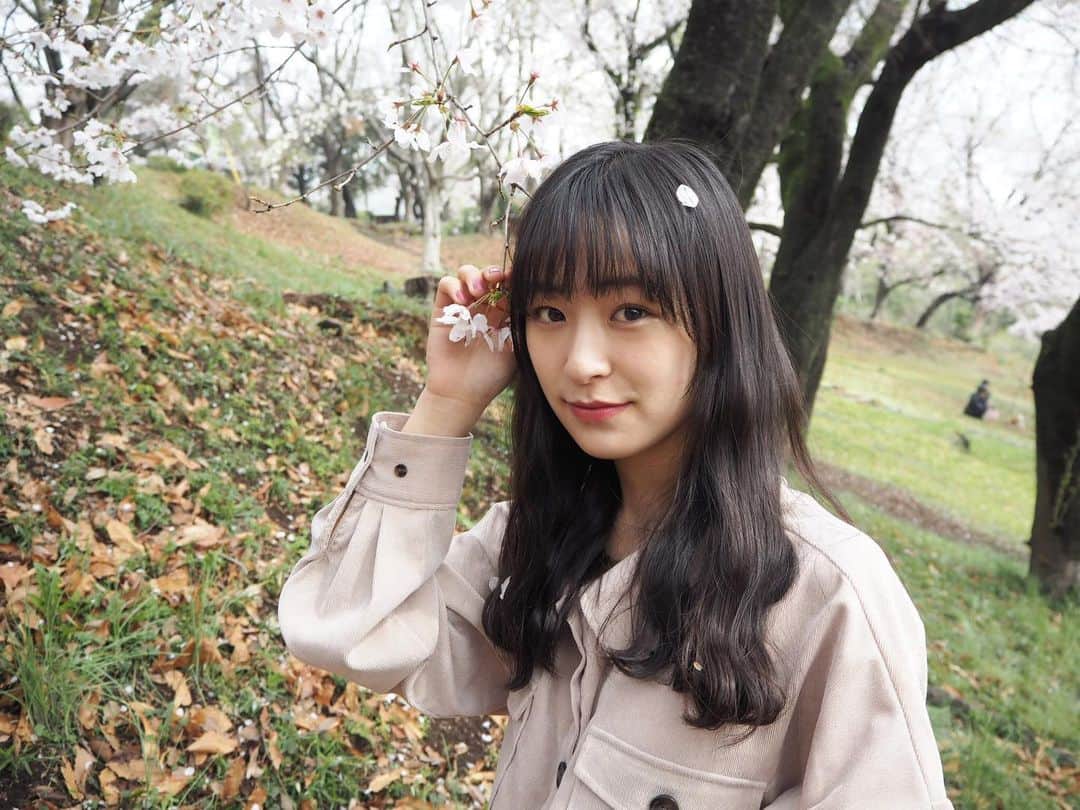 鈴木美羽さんのインスタグラム写真 - (鈴木美羽Instagram)「桜とたわむれ」4月8日 21時32分 - suzukimiu_0414