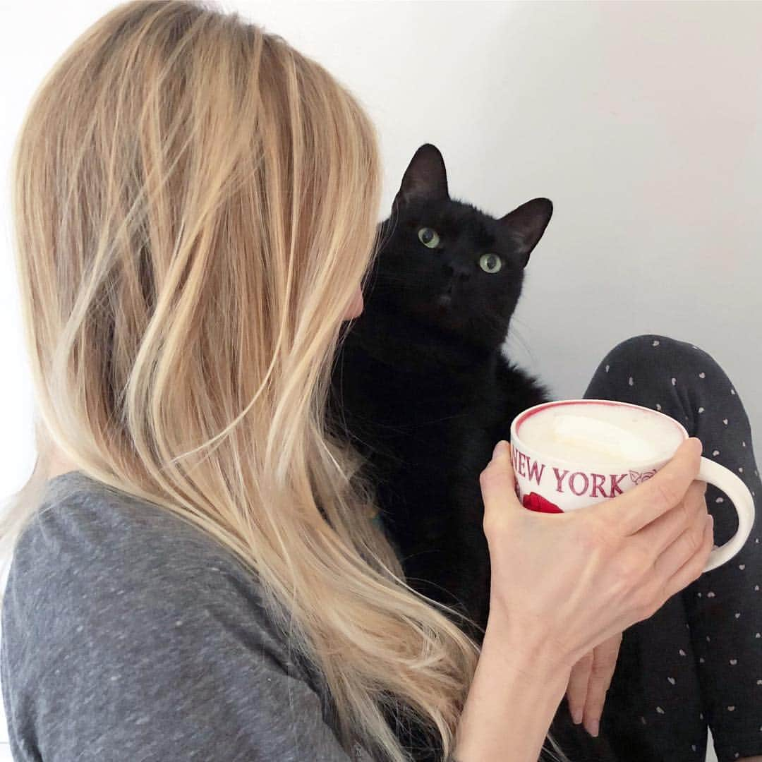 セルジオさんのインスタグラム写真 - (セルジオInstagram)「Good morning and welcome to Monday morning coffee talk with me, Sweet Bean. (For those of you who may not know, we are New Yorkers so that’s actually pronounced “cawfee tawk”). ☕️🗣 . . This mornings conversation is about trips to Target. 🎯🛒 On mom’s last trip she said she was going strictly to buy a new vacuum, but she left with cat food (we’re not complaining), lint rollers and candles. This was actually her exercising self control.  One time she went in just for a fitted bed sheet and left with rubbermaid bins, socks, lightbulbs, tissues, bathroom mats, an area rug and a blender. . . Does anyone else’s human ride the Target struggle bus? 🚌  Discuss....🔻 . . #coffeetalk #sweetbean #bean #catsandcoffee #morningcoffee #catsofinsta #qualitytimetogether #catmom #catslife #lapcat #cuddlycat #sweetcat #myfurbaby #blackcats #blackcatsofinstagram #igcats #igkitty #rescuecat #foreverhome #catsofig #catsandwomen #catlady #mykidshavepaws」4月8日 21時55分 - monkandbean