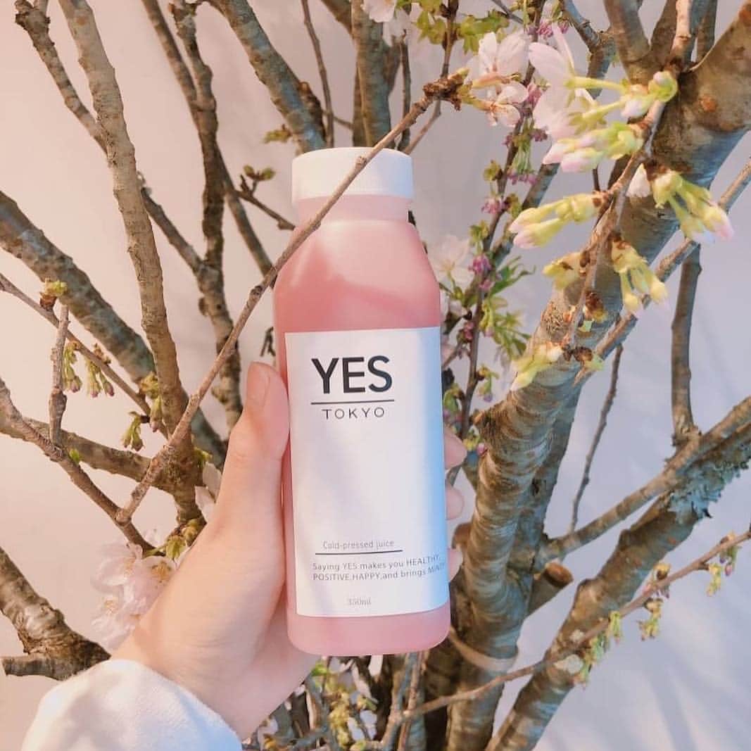 YES TOKYOのグルメインスタ