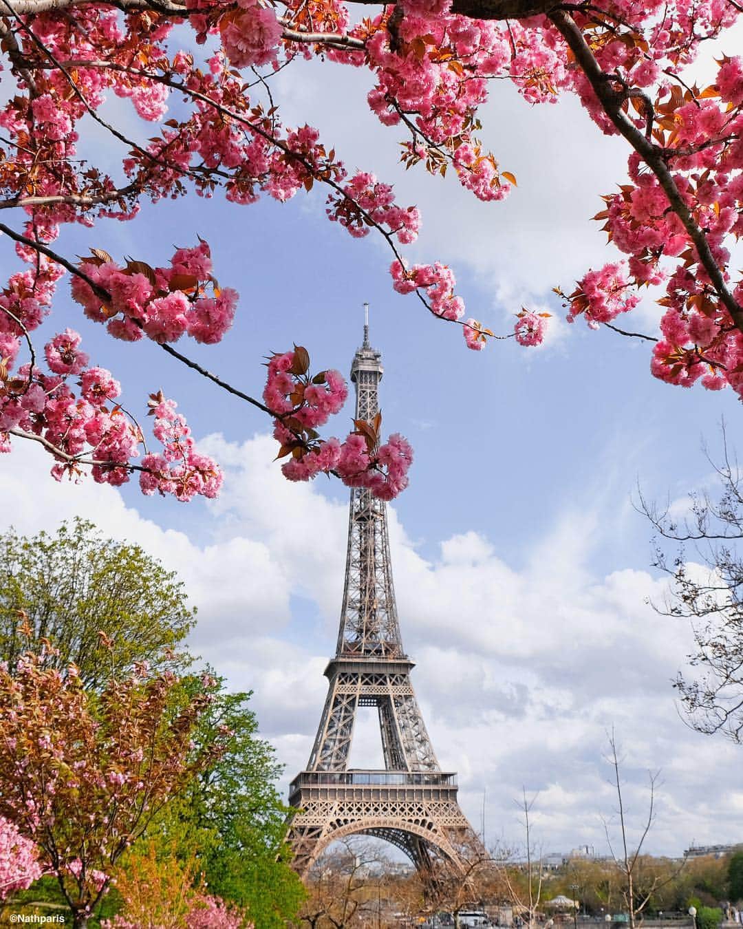 nathparisのインスタグラム：「🌸🌸🌸 #paris」
