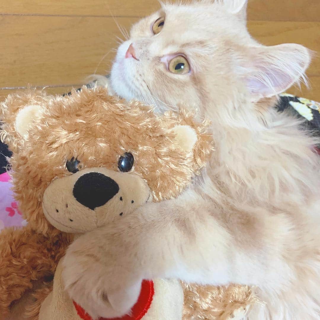 伊藤千由李のインスタグラム