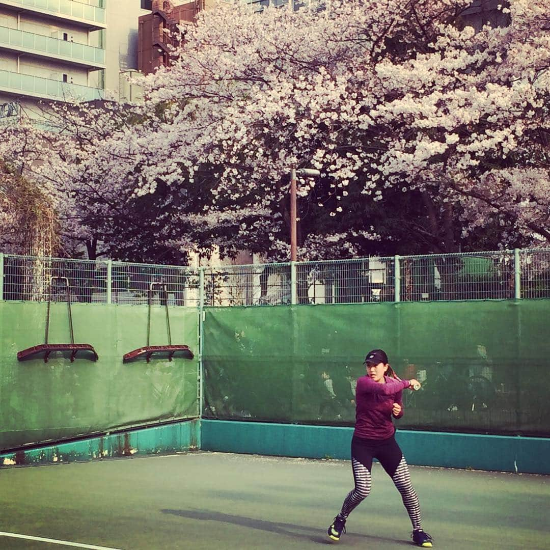 奥野彩加さんのインスタグラム写真 - (奥野彩加Instagram)「Time flies. Treasure each moment. 🌸🎾🌸 #goodnight ・ ・  #テニス #トレーニング #アスリート #ジム #筋トレ #筋トレ女子 #スポーツ #桜 #tennis #sports #life #gym #training #fitness #fit #athlete #japanese #smile #tennisplayer #work  #테니스 #연습 #훈련 #스포츠  #운동 #love」4月8日 22時08分 - ayakaokuno