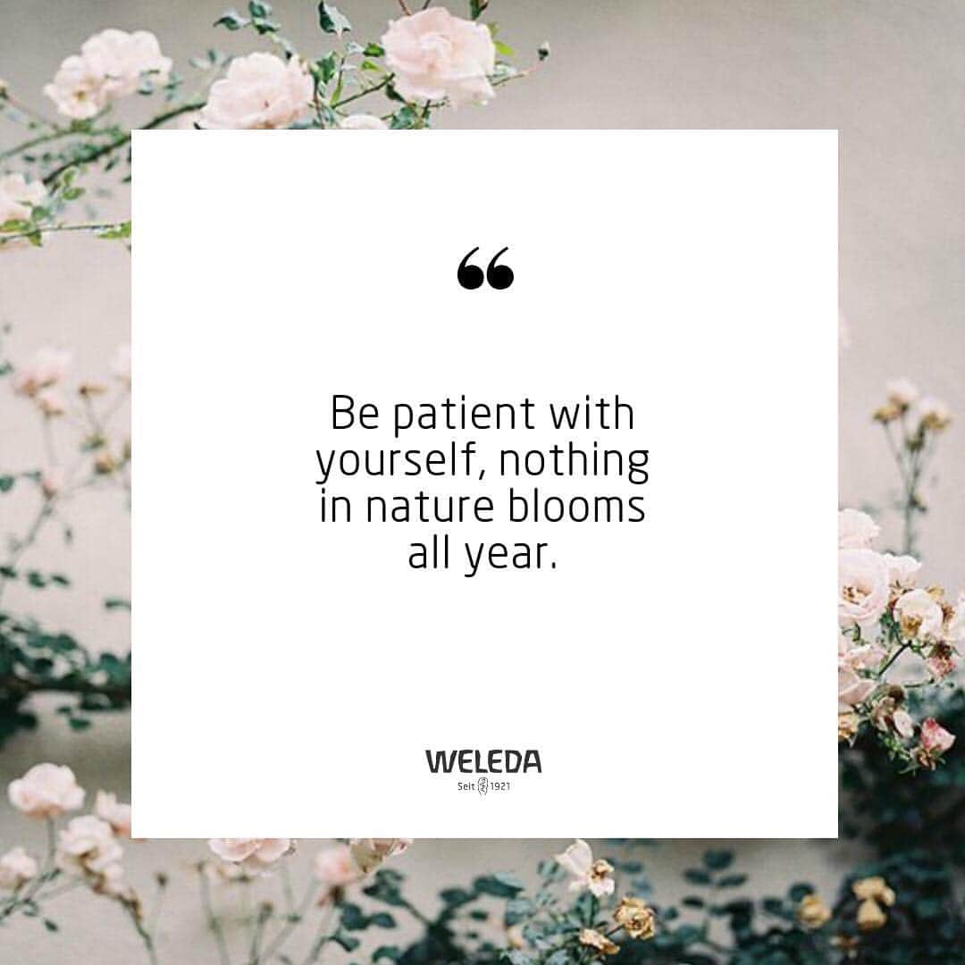 Weledaのインスタグラム：「Be patient with your process 🌸 #quoteoftheday」