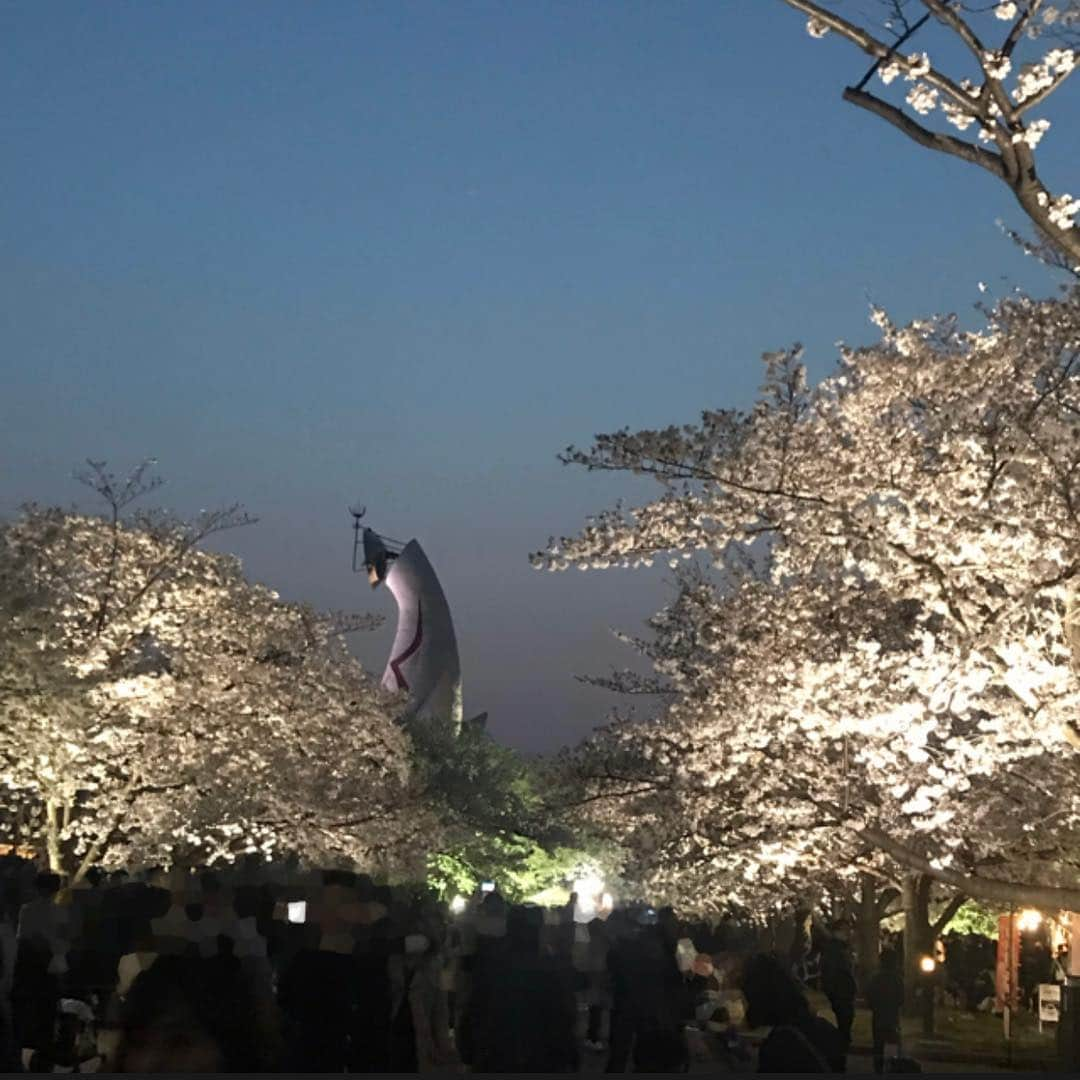 塚田文のインスタグラム：「大阪の桜パート②  万博記念公園です。  ここも本当に見事な花盛り🌸でした。 この日は気温もとても温かくて、昼から晩まで居られると思った！  なんと万博記念公園の🎟チケットって再入場可能‼️ 露店が園内にも出ているけれど、公園外のEXPO CITYで色々買って持ち込みも良いかと👍✨ 大阪の桜パート①に引き続きお付き合い頂いたのは  写真3枚めの麻里ちゃん👩  インテリアコーディネーターの資格取得に向けて通ったスクールで知り合ったYoung girlが、おばちゃんに会いに来てくれた😭💕 勉強で大変だったこと、当日の試験で緊張したこと、憧れの建築物や、勉強して旅先で見るポイントが変わったこと、住空間や職場空間の大切さ…などなど話は尽きなかった〜🤪💦 同じ釜の飯は食って無いけど💦同じ空間で大石いづみ👩‍🏫先生に教えを請い、苦しくも楽しい時間を一緒に過ごしたあの時は宝物✨  感慨ひとしおな大阪の花見なのでした😊✨ #2019桜 #大阪 #茨木市 #万博記念公園 #インテリアコーディネーター #資格取得 #大石いづみ先生  #japantrip #japantravel #osaka #banpakukinenkoen #banpakukinenpark #cherryblossom」