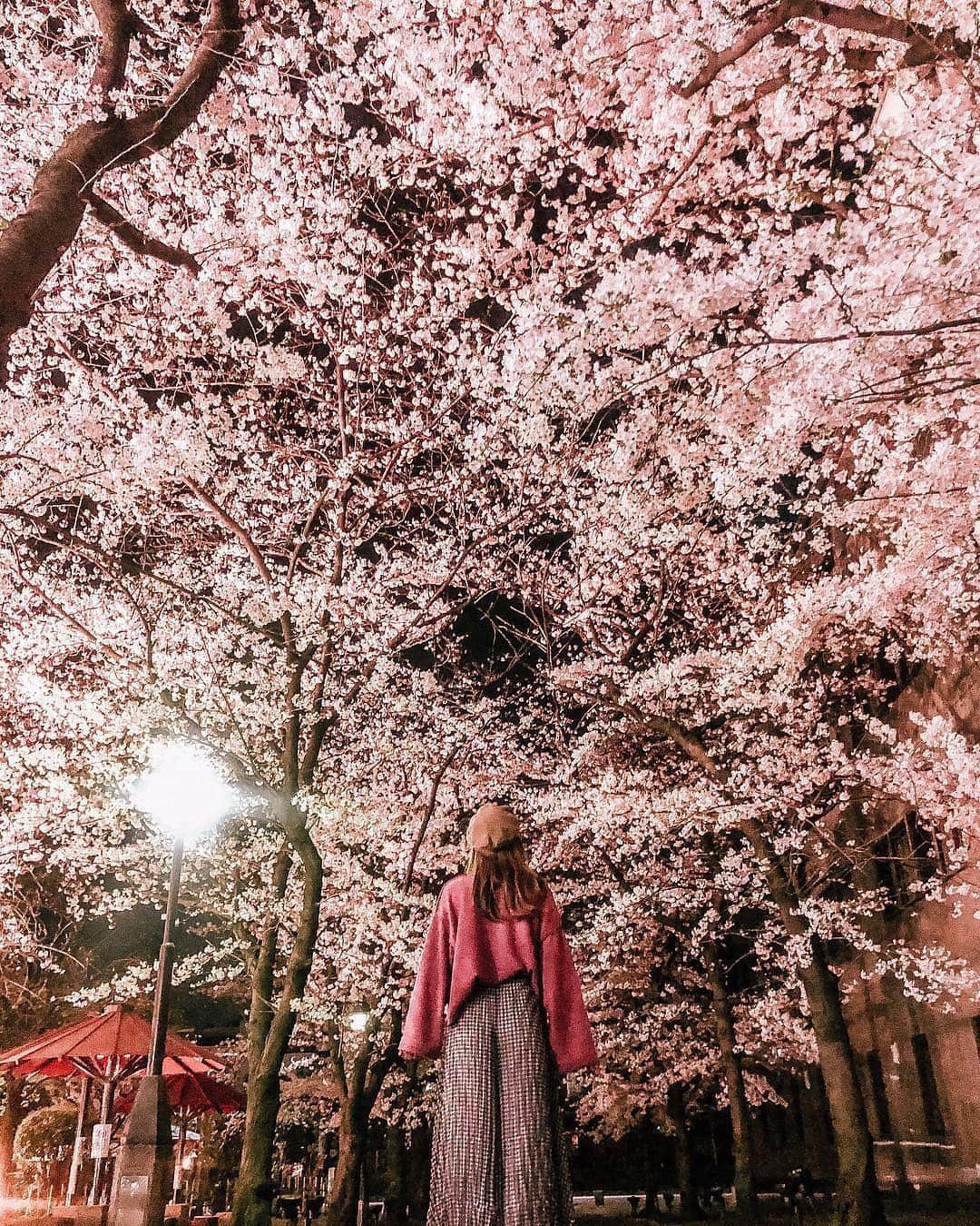 タビジョのグルメインスタ