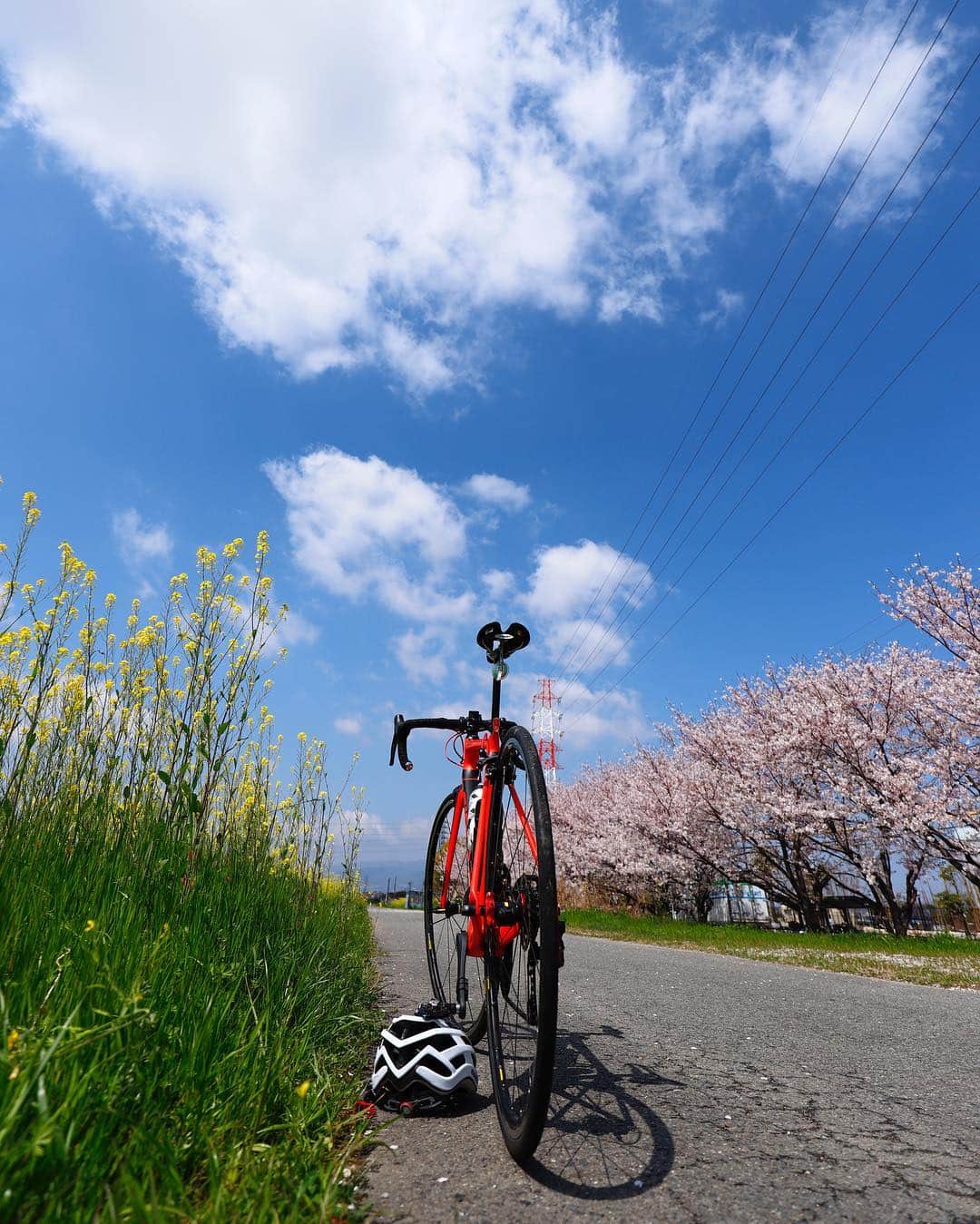 kazutakahamazatoのインスタグラム：「休日に花見がてら走ってきました🚴‍♀️ 天気の良い日に無事に桜を見れました。感謝です✨"美容を通じて双方の幸せを創造する"改めて決意✊🏻✨ #桜  #ロードバイク  #hair equal #三国美容室 #三国 #キッズルーム #子連れでいける  #hair#hairstyle #スタッフ募集 #縮毛矯正が得意  #コタ #COTA #ヘアケア #駅ちか #美容室 #美容室求人 #美容師募集 #スタイリスト募集 #アシスタント募集 #メンズ  #メンズヘア #ボブ #子供カット #トリートメント  #トキオトリートメント #酸性ストレート  #酸性デジタルパーマ #ヘアドネーション #写真好きな人と繋がりたい」