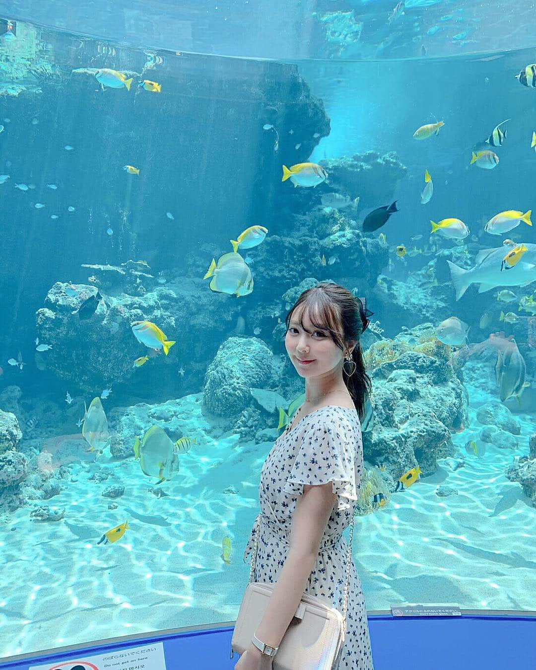 中田絵里奈さんのインスタグラム写真 - (中田絵里奈Instagram)「🐠♡🐠♡ . 📍美ら海水族館 . 息子が途中までおやすみしてたので💤 大人もじっくり楽しんできました🤗 . ジンベイザメの迫力凄かった…🦈❤︎ . 近くのコンビニで割引券買うと 並ばず入れて良かったです🙆 . . #美ら海水族館 #沖縄 #沖縄旅行 #水族館 #ベビー連れ旅行 #赤ちゃんのいる生活 #赤ちゃん #mama #ママ #男の子ママ #男の子ベビー」4月8日 22時49分 - erinanakata