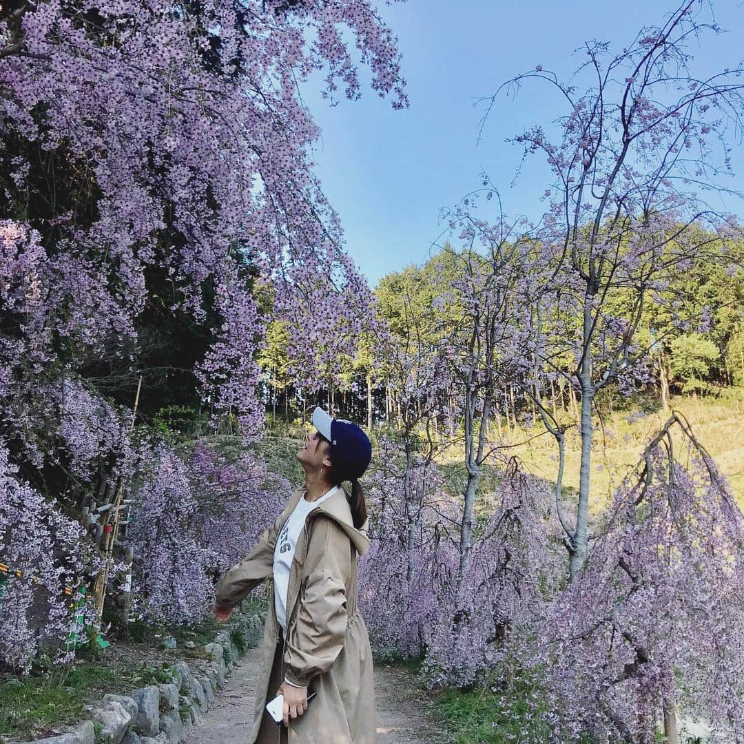 深瀬智聖さんのインスタグラム写真 - (深瀬智聖Instagram)「お花見したり、今年もたくさん桜見れました🌸😊🌸 楽しかったです♫ たくさん寝て充電しまくりました。つまり暇人です✊🏻 😆 働きます！  #桜 #さくら #お花見 #春 #飲みすぎた #平成最後  #熊本 #福岡 #明日から」4月8日 22時45分 - chiseifukase