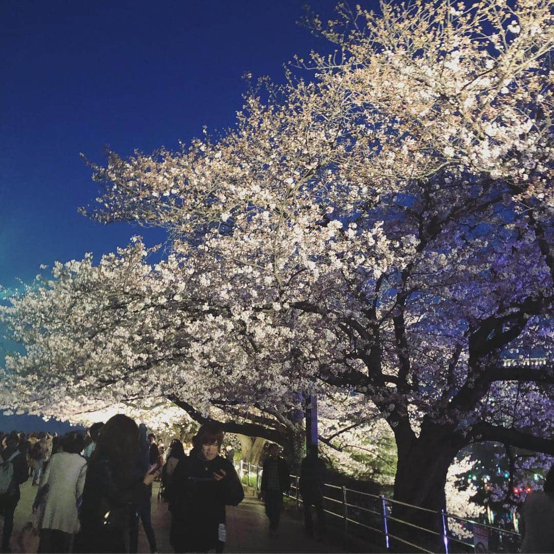 深瀬智聖さんのインスタグラム写真 - (深瀬智聖Instagram)「お花見したり、今年もたくさん桜見れました🌸😊🌸 楽しかったです♫ たくさん寝て充電しまくりました。つまり暇人です✊🏻 😆 働きます！  #桜 #さくら #お花見 #春 #飲みすぎた #平成最後  #熊本 #福岡 #明日から」4月8日 22時45分 - chiseifukase