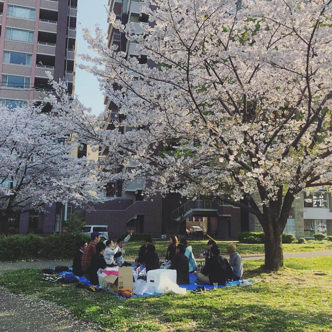 深瀬智聖さんのインスタグラム写真 - (深瀬智聖Instagram)「お花見したり、今年もたくさん桜見れました🌸😊🌸 楽しかったです♫ たくさん寝て充電しまくりました。つまり暇人です✊🏻 😆 働きます！  #桜 #さくら #お花見 #春 #飲みすぎた #平成最後  #熊本 #福岡 #明日から」4月8日 22時45分 - chiseifukase