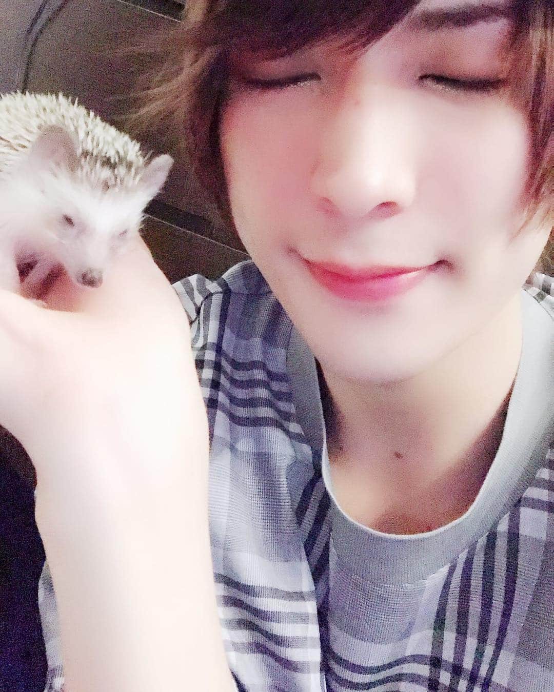 仲田博喜のインスタグラム：「4月8日は我が家にハリネズミのおはぎをお迎えした日。  大切な家族。やんちゃで夜中に暴れていつも起こされるけど、いつも癒しをありがとう！！ これからもよろしくねおはぎ(*´꒳`*) #お迎え #一年 #記念日 #ハリネズミ #ペット #家族」