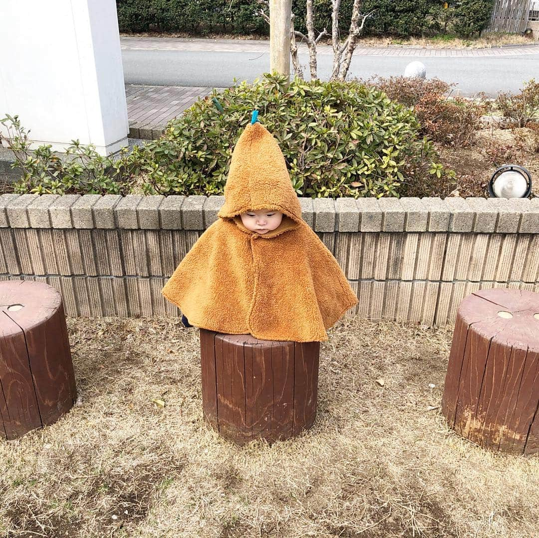 ᴋᴀɴᴀᴋöさんのインスタグラム写真 - (ᴋᴀɴᴀᴋöInstagram)「ちょこんと おすわり中🌳 * ツインズ君は、預かり保育で 幼稚園へ🌈✨ ルンルンで 行きました🎵✨ * 春休みも、にーに達 いないと さみしいね😗💕 * #お散歩#春休み#公園#おすわり#小人#ポンチョ#0歳 #ベビフルまるおTVデビュー」3月25日 14時19分 - kanakokko_34_