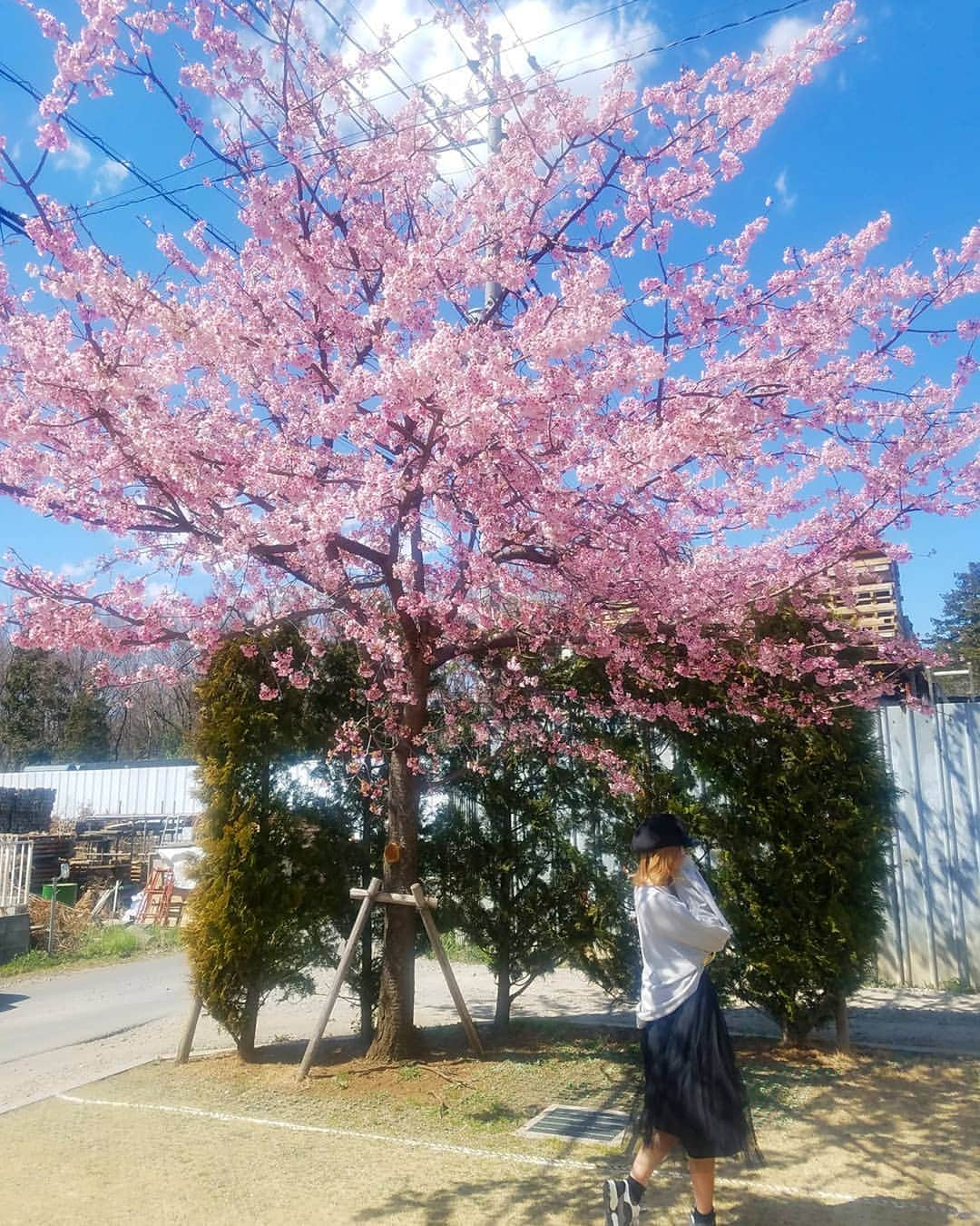 黛実希さんのインスタグラム写真 - (黛実希Instagram)「もうすっかり#春 だね🌸🌸🌸 クローゼットの衣替えしなきゃだけど、なかなか腰が上がらない😂👗💦 今日は勉強day♡ * 드디어#봄 이왔다!!봄봄봄이야~💗 오늘은 공부데이니까 카페가야지 * * * #インスタ映えスポット#韓国#韓国旅行#韓国カフェ#海外好きな人と繋がりたい#韓国コスメ#韓国好きな人と繋がりたい#カメラ女子#明洞カフェ#カメラ好きな人と繋がりたい#좋아요반사#반사#팔로우#맞팔#선팔#소통#맞팔해요#소통해요#셀카#셀스타그램#얼스타그램#데일리룩#followmeto」3月25日 14時28分 - candymiiiki