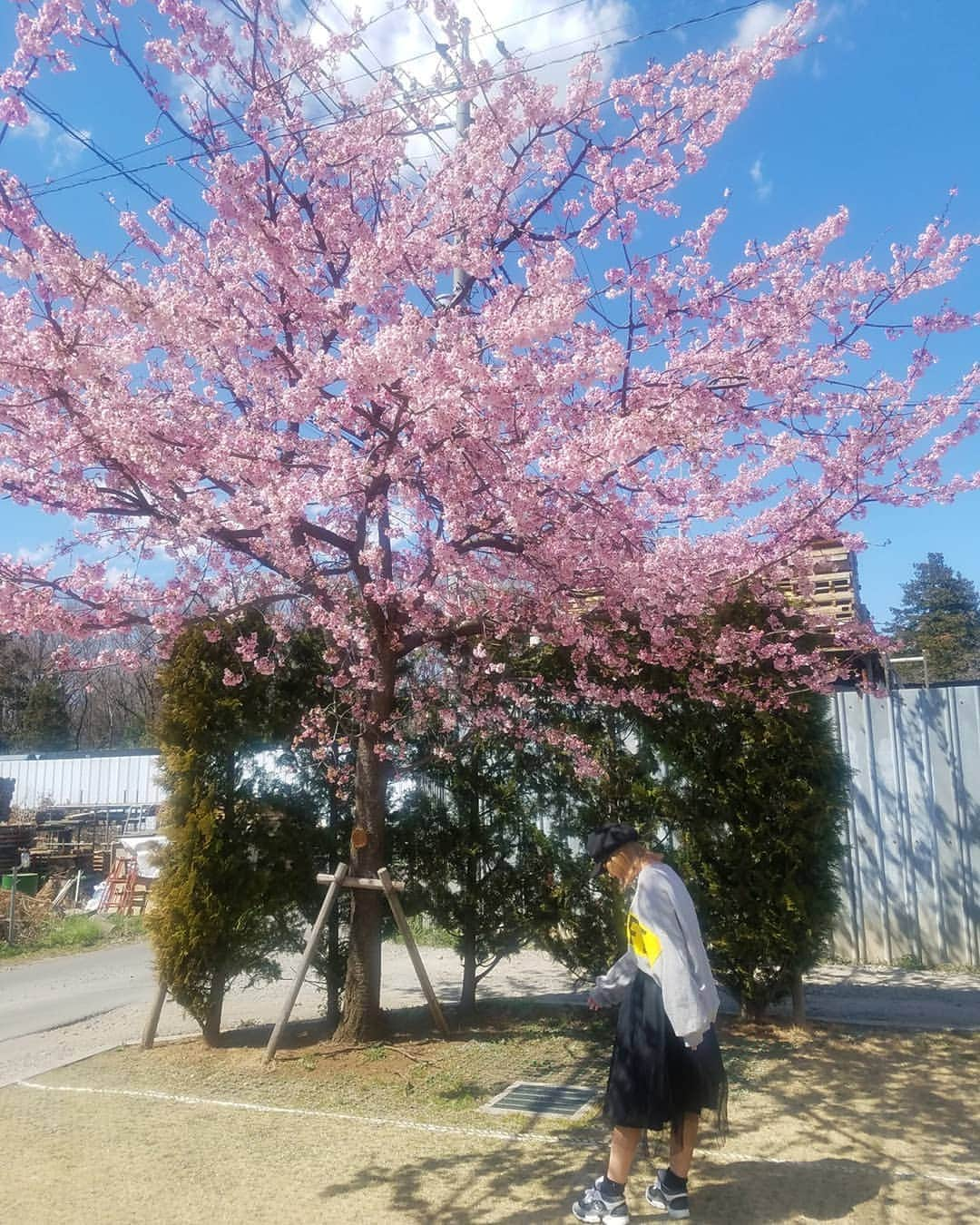 黛実希さんのインスタグラム写真 - (黛実希Instagram)「もうすっかり#春 だね🌸🌸🌸 クローゼットの衣替えしなきゃだけど、なかなか腰が上がらない😂👗💦 今日は勉強day♡ * 드디어#봄 이왔다!!봄봄봄이야~💗 오늘은 공부데이니까 카페가야지 * * * #インスタ映えスポット#韓国#韓国旅行#韓国カフェ#海外好きな人と繋がりたい#韓国コスメ#韓国好きな人と繋がりたい#カメラ女子#明洞カフェ#カメラ好きな人と繋がりたい#좋아요반사#반사#팔로우#맞팔#선팔#소통#맞팔해요#소통해요#셀카#셀스타그램#얼스타그램#데일리룩#followmeto」3月25日 14時28分 - candymiiiki