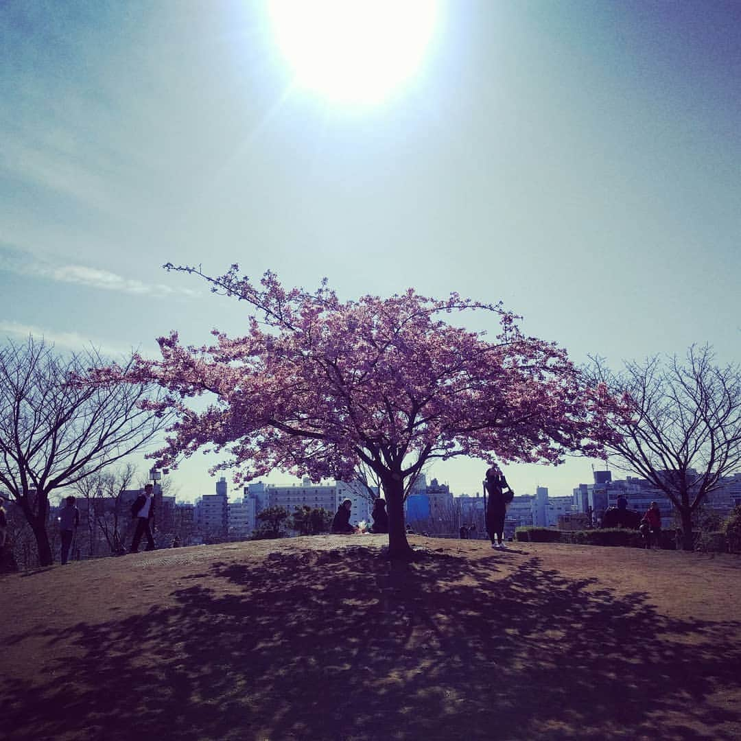 越中睦士さんのインスタグラム写真 - (越中睦士Instagram)「春のファンミ 空きが１名出ました🌸 今週27日水曜日迄 １名募集 お待ちしております！」3月25日 14時33分 - makotokoshinaka