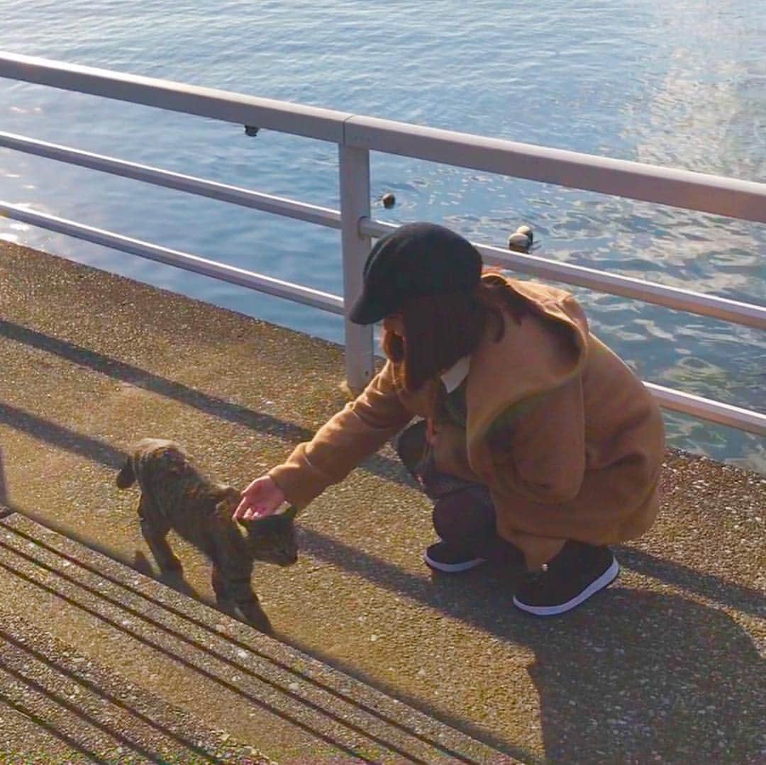 椎名あつみのインスタグラム：「ひさしぶりのインスタ☺️💓 写真いつもあんまりとらなくて カメラロール 電車の乗り換えのスクショしか なかった(>_<。 乗り換えのスクショ のせてもつまらないから 更新できなかった(>_<。 だからずっと前に行った 鎌倉のやつっ☺️💓 江ノ島もきらきらだった！😖 アリエルききながら うみみてた😖 セルフフィルハー！！ ねこいたし😖  アロハテーブルも行った💓 原宿のね、アロハテーブルの タコライスが大好きで わくわくで 江ノ島のアロハテーブル いったらなかった☺️ ろこもこあった☺️ 動画だしてるから youtubeみてくれたら 嬉しいなっ🎅🏻🍉 #鎌倉  #江ノ島  #江ノ島カフェ  #アロハテーブル  #椎名あつみ」