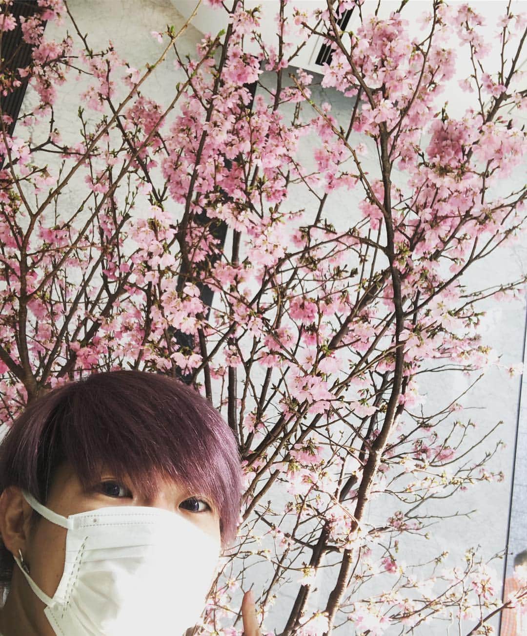 歌広場淳さんのインスタグラム写真 - (歌広場淳Instagram)「撮影現場に桜が咲いていました🌸🌸🌸」3月25日 15時12分 - uta830jun
