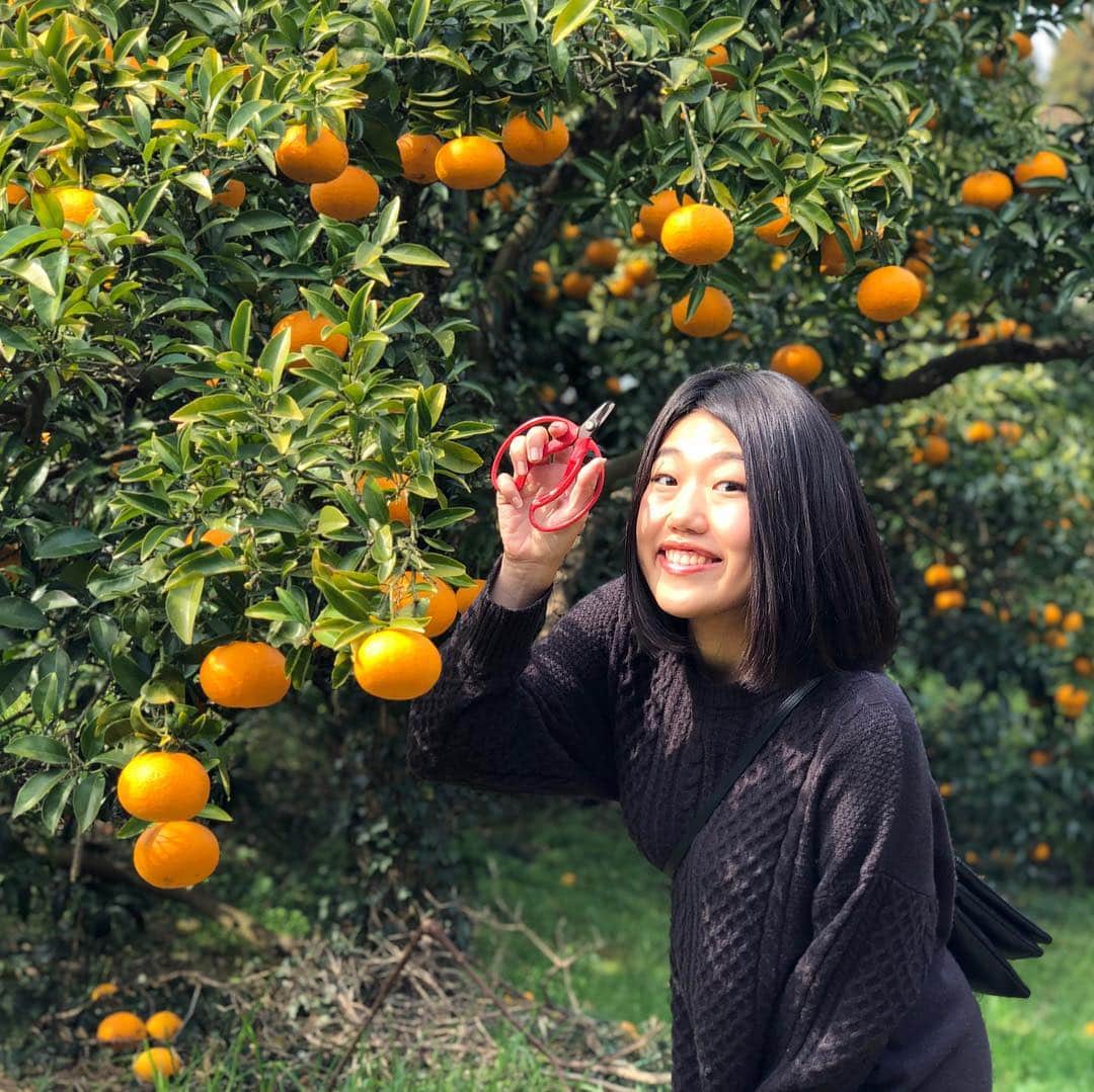 横澤夏子さんのインスタグラム写真 - (横澤夏子Instagram)「#持ち手がデカいハサミがあるとなんでこういうことしたくなっちゃうんだろうー #なにが楽しいんだろうー #うふ！」3月25日 15時17分 - yokosawa_natsuko