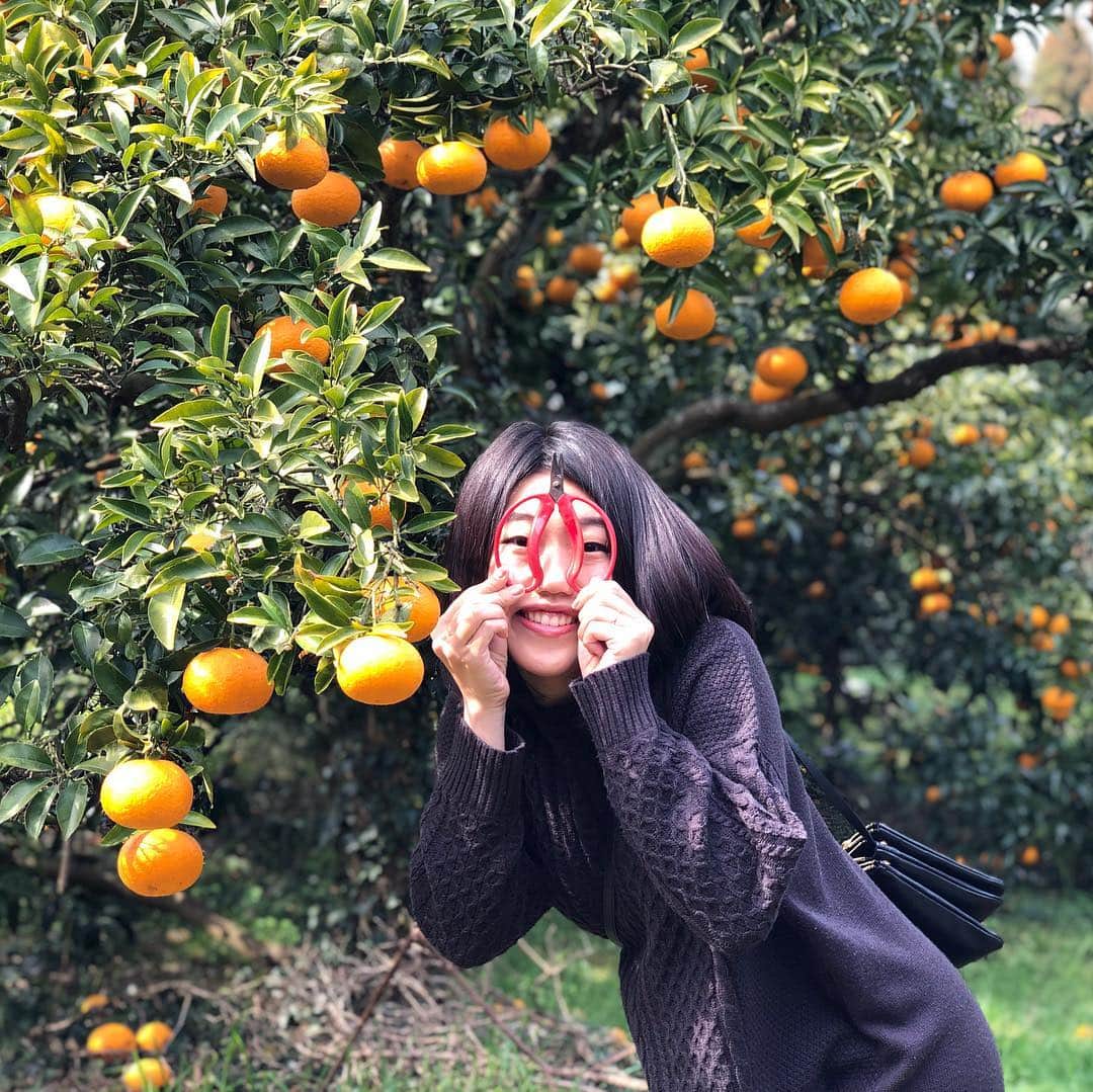 横澤夏子さんのインスタグラム写真 - (横澤夏子Instagram)「#持ち手がデカいハサミがあるとなんでこういうことしたくなっちゃうんだろうー #なにが楽しいんだろうー #うふ！」3月25日 15時17分 - yokosawa_natsuko