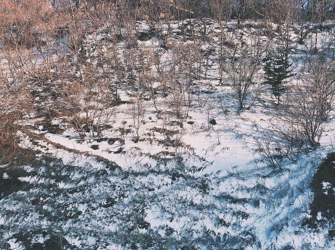 林田岬優さんのインスタグラム写真 - (林田岬優Instagram)「東北。 雪がふわふわでひた。❄︎ #東北#初めて#雪#ふわふわ」3月25日 6時40分 - miyu_hayashida