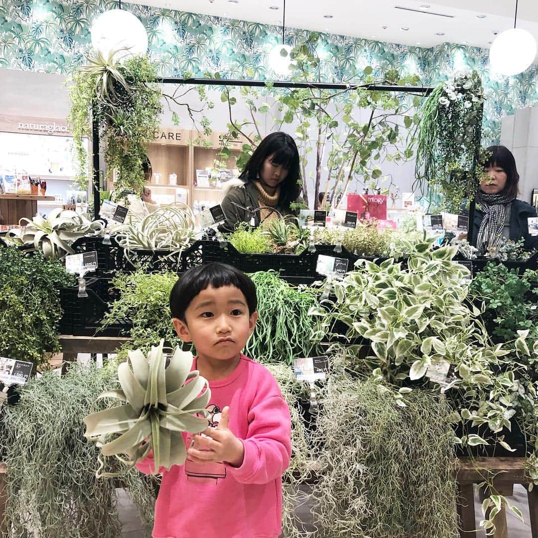 いなざうるす屋さんのインスタグラム写真 - (いなざうるす屋Instagram)「ひやぁぁぁ💕たまらん💕 これがいーあれがいーって選んでる姿もまたホントにたまらんかったー！！ ________________________ いなざうるす屋 in SinQsビューティーパレット 3月14日〜4月3日 期間限定 東急町田ツインズWEST3階 . ショップ詳細はハイライトのピンクのアイコンからHPへとべます♫ ________________________ #町田 #東急百貨店 #東急町田ツインズ #フェイクグリーン #観葉植物 #インテリアグリーン #fakegreen #interiorgreen #zakka #造花 #アーティフィシャルフラワー #artificialflower #artificial  #装飾のお仕事記録byいなざうるす屋  #いなざうるす屋イベント記録」3月25日 6時51分 - inazaurusu_ya