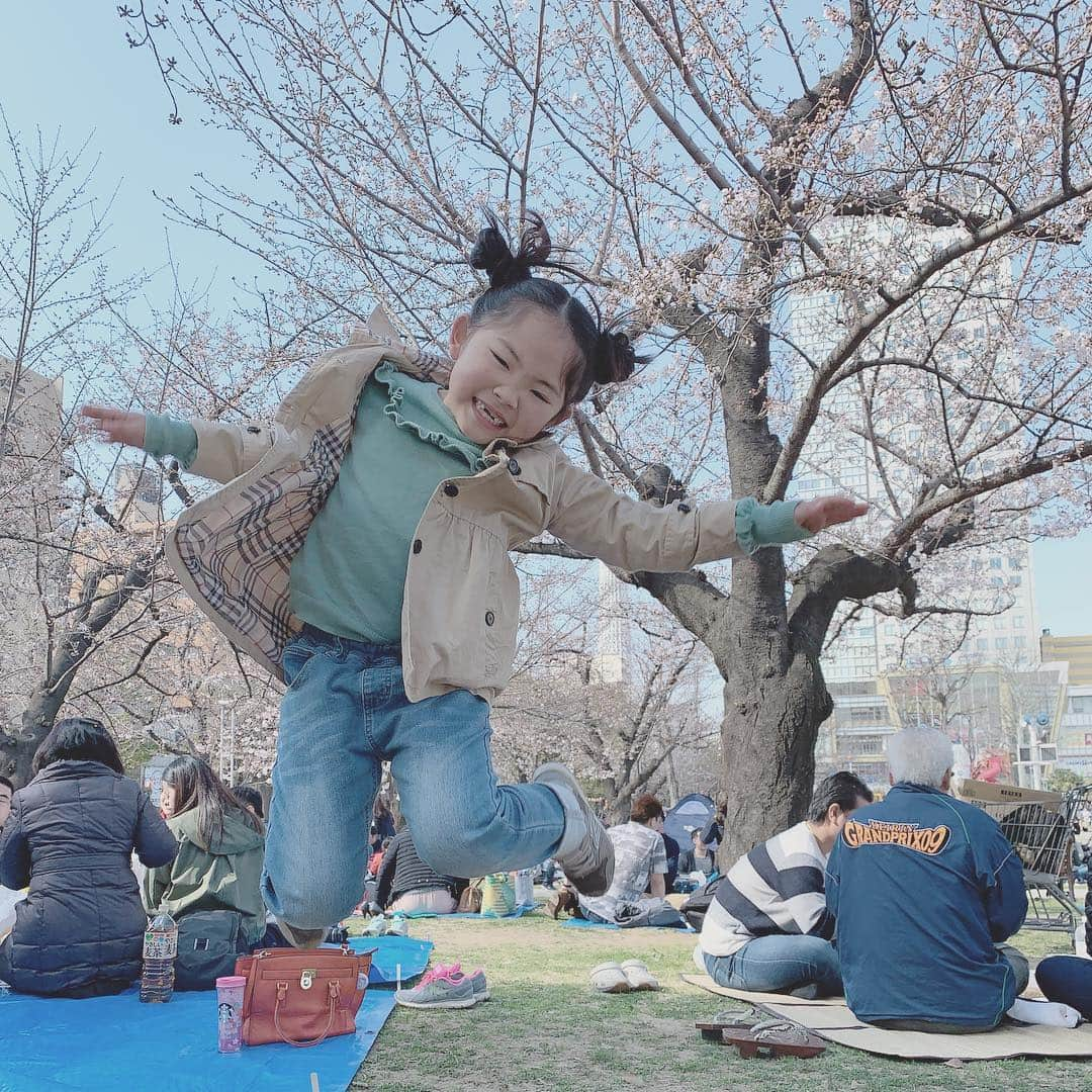 korokoronyaさんのインスタグラム写真 - (korokoronyaInstagram)「✻*∗ 24 Mar, 2019  Spring🌸 * お早うございます。 まだ満開じゃないけど 昨日花見第一回目やりました🌸 ちびマメは 今日卒業式に出席して 1年生が終わります。 本人も出さないし 私もすっかり忘れていた通信簿😅 その日の私の気力がある時だけだけど、 宿題➕苦手なところを少しだけでも 復習させたりして…そのかいがあってか 前期の時よりも成績良くなってた😭 頑張ったな(私も)😭 2年生も親子で乗り越えよう…😭 #勉強 #母も苦手 * #koronya_chibimameko #7歳のちびまめ」3月25日 7時27分 - korokoronya