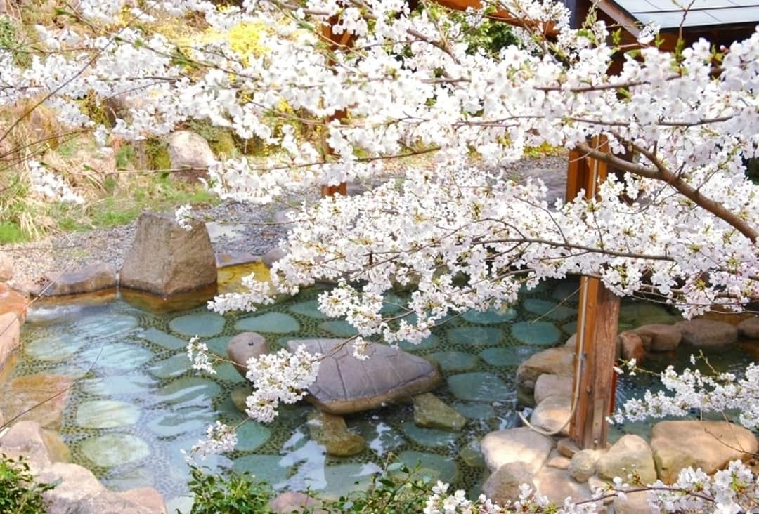 Relux | リラックスのグルメインスタ