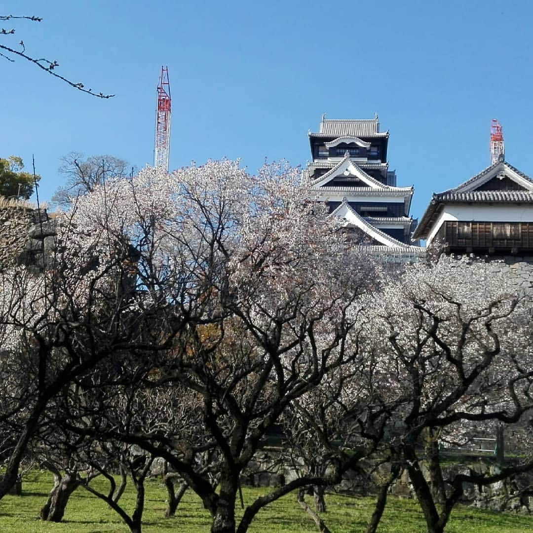 熊本城のインスタグラム