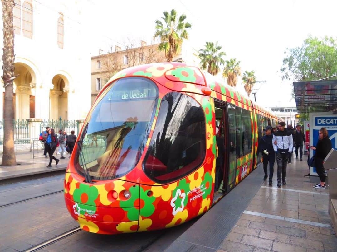 フランス大使館さんのインスタグラム写真 - (フランス大使館Instagram)「【📷 #日本人が見たフランス 】南仏モンペリエのトラム（路面電車）の写真を @rurinoshima さんが送ってくれました。ありがとうございます！花柄がとっても陽気ですてきですね🌼。フランスでは多くの都市でトラムが導入され、トラムの交通網が発達しています。 📷 La France vue par les Japonais : le tram de Montpellier. Merci à @rurinoshima d'avoir partagé cette photo très gaie ! Depuis plusieurs années, la France développe dans ses villes les systèmes et réseaux de tramways, moyen de transport incontournable du début du 20e siècle.」3月25日 8時00分 - ambafrancejp