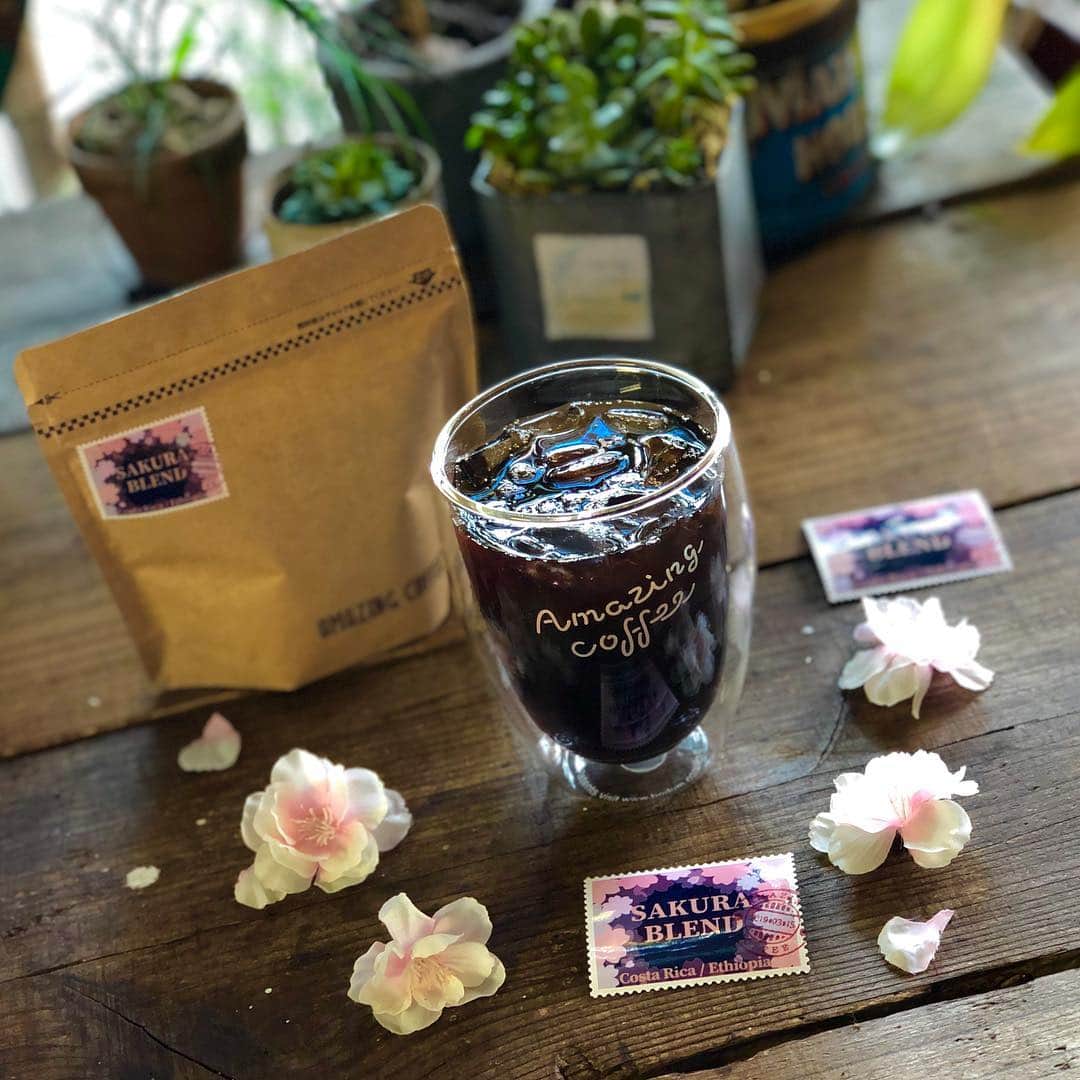 AMAZING COFFEEさんのインスタグラム写真 - (AMAZING COFFEEInstagram)「. 🌸SAKURA BLEND🌸 . もうすぐ4月⤴︎⤴︎ 気温も温かくなり、目黒川の桜も咲き始めました🌸 . SAKURA BLENDはアイスコーヒーにしても抜群⤴︎⤴︎ . 目黒川を散歩しながらステキなコーヒータイムを過ごしてみては💁🏻‍♂️ . Have a good coffee time☕️ . #AMAZINGCOFFEE #AMeCO #TOKYONAKAMEGURO #アメコ #coffee #SAKURA #🌸」3月25日 8時04分 - amazing_coffee_official