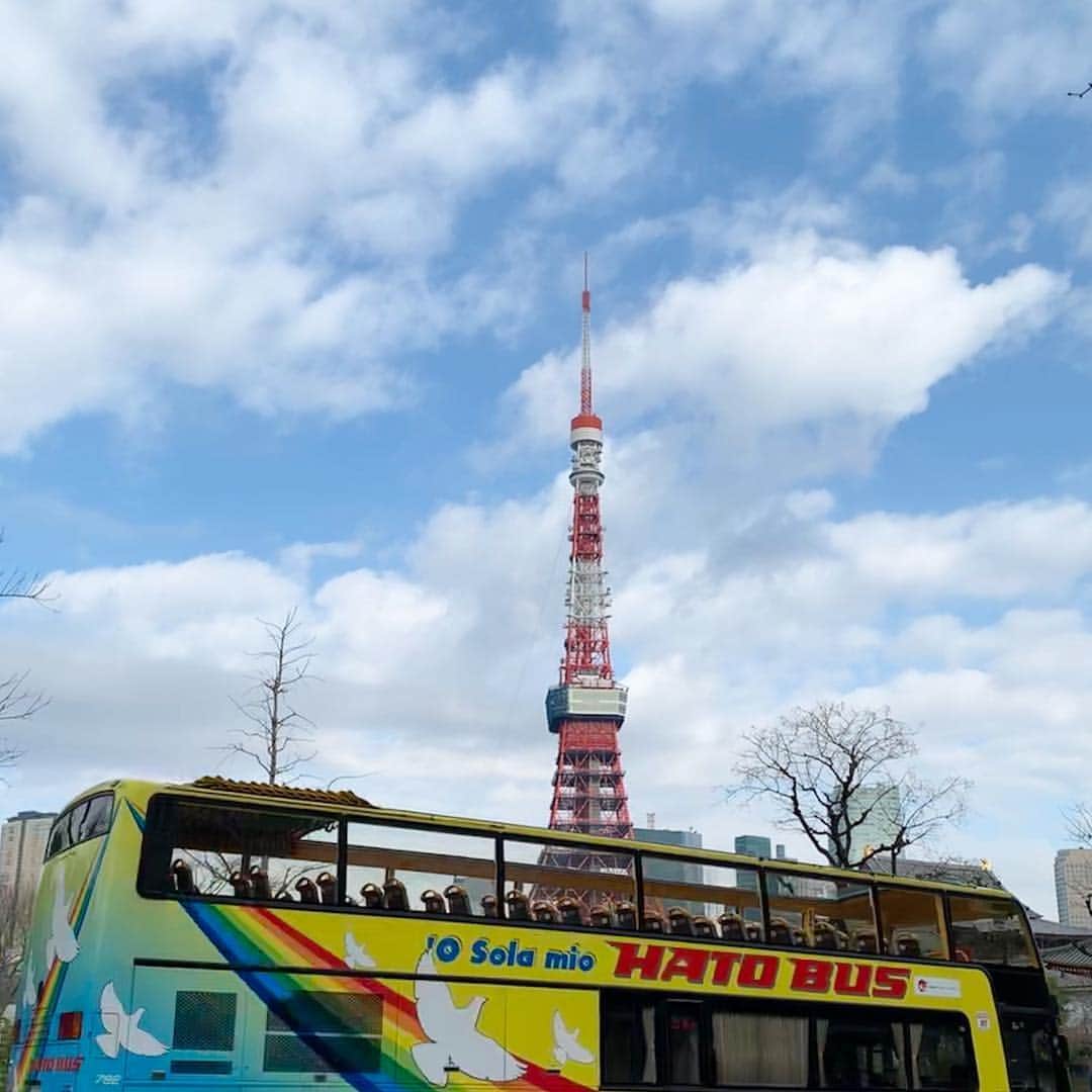 のインスタグラム：「🚌🗼🌸たわ！ #🗼 #tokyotower #東京タワー #芝公園 #増上寺 #zojoji #shibapark #hatobus #cherryblossom #はとバス #ハトバス #桜と東京タワー #東京タワーと桜 #tokyo_instagram」