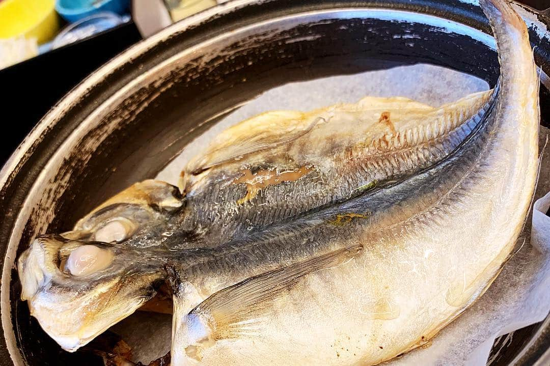 琴菜さんのインスタグラム写真 - (琴菜Instagram)「伊豆旅行最終編🚅🌈 この日は朝ごはんを食べて車でサファリパークへ🐘🐆🐅ボリューム満点、栄養満点の朝食💯✨✨ この日の伊豆は大雨でさ💦山に行けば行くほど嵐のような天気へと…。。でも何だかんだライオンや熊も見ることが出来たし、甥や姪も近くで動物たちを見られて興奮してたし🦁🦁❤️❤️豪雨のサファリパークもなかなか経験出来ないでしょう🦒🦒wwただサファリパークへの行きと帰りは車酔いしたね〜何なのあのクネクネ道⛰🚗とーっても楽しい一泊二日の伊豆旅行でした♨️🌸🌸 #富士サファリパーク #レンタカー #アニマル #lion #tiger #朝食 #ボリューム満点 #栄養満点 #バランスの良い朝食 #三島コロッケ #伊豆長岡 #伊豆温泉 #香湯楼井川 #豪雨の一日 #一泊二日の旅 #本当に楽しかった #妹家族ありがとう #shizuoka #japan」3月25日 8時19分 - dj_singer_kotona