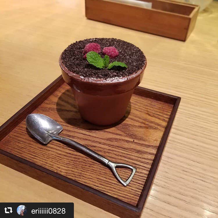 ハレノヒのインスタグラム：「#repost @eriiiiii0828 via @PhotoAroundApp . かわいいの食べた  妹の写真見て可愛い可愛い言ってた～～～ #成人式ぶり #ハレノヒ @eriiiiii0828様 ご来店ありがとうございます😊お写真も嬉しいです♪ #かわいい#ケーキ#フラワーポット#ここでしか食べられない#スイーツ#植木鉢ケーキ#ルミネエスト新宿#cafe#cute#harenohi#tokyo#shinjuku#lumineest#flowerpot#cake#sweets#」
