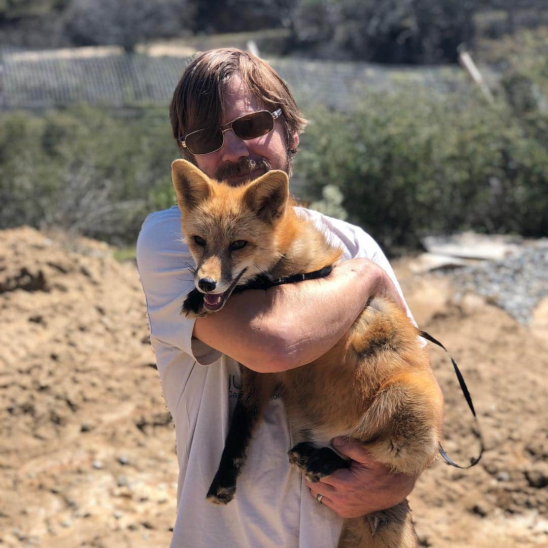 Rylaiさんのインスタグラム写真 - (RylaiInstagram)「A boy and his fox.... . Perfect way to end this amazing weekend!!! With the magic of the bond shared between Dave, the Co-Founder of the #jabcecc, and Viktor. . We are hoping to have our grand opening weekend late summer and are starting to plan!! If you would like to donate and item for the auction, sponsor dinner, drinks, provide entertainment, catering, decorate, etc... we will be starting to reach out!! . #lovefoxes #bond #ambassadors #animalencounters #foxencounters #canine #canidconservation #sunday #magic #boyandhisfox #foxes #meetafox #petafox #animallovers #restaurants #artists #catering #musicians #foxesofinstagram #sandiego #socal #sandiegoevents #sandiegolocal」3月25日 9時02分 - jabcecc