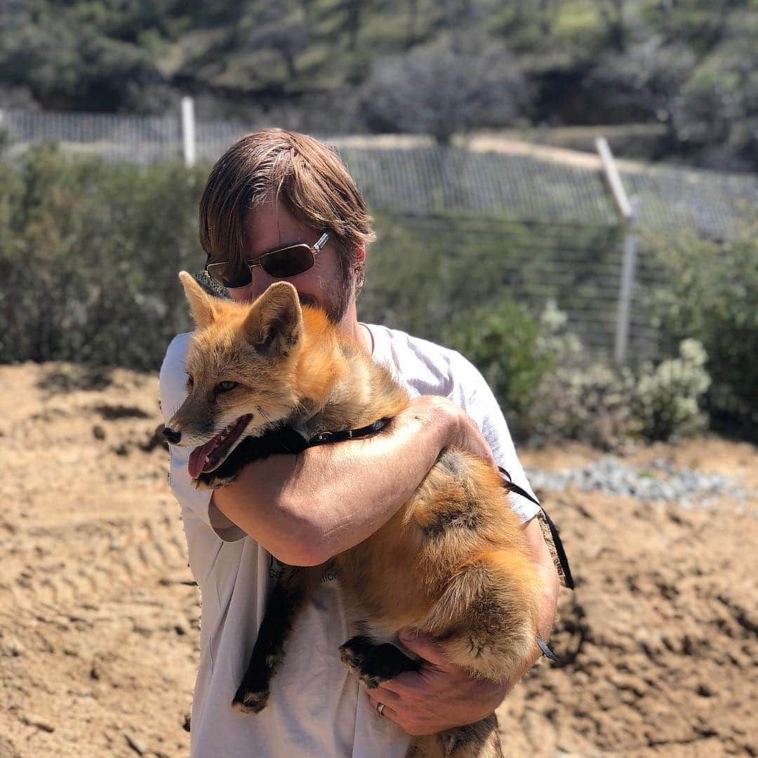 Rylaiさんのインスタグラム写真 - (RylaiInstagram)「A boy and his fox.... . Perfect way to end this amazing weekend!!! With the magic of the bond shared between Dave, the Co-Founder of the #jabcecc, and Viktor. . We are hoping to have our grand opening weekend late summer and are starting to plan!! If you would like to donate and item for the auction, sponsor dinner, drinks, provide entertainment, catering, decorate, etc... we will be starting to reach out!! . #lovefoxes #bond #ambassadors #animalencounters #foxencounters #canine #canidconservation #sunday #magic #boyandhisfox #foxes #meetafox #petafox #animallovers #restaurants #artists #catering #musicians #foxesofinstagram #sandiego #socal #sandiegoevents #sandiegolocal」3月25日 9時02分 - jabcecc