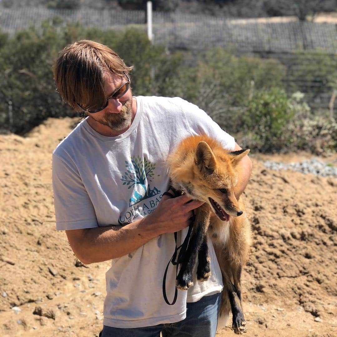 Rylaiさんのインスタグラム写真 - (RylaiInstagram)「A boy and his fox.... . Perfect way to end this amazing weekend!!! With the magic of the bond shared between Dave, the Co-Founder of the #jabcecc, and Viktor. . We are hoping to have our grand opening weekend late summer and are starting to plan!! If you would like to donate and item for the auction, sponsor dinner, drinks, provide entertainment, catering, decorate, etc... we will be starting to reach out!! . #lovefoxes #bond #ambassadors #animalencounters #foxencounters #canine #canidconservation #sunday #magic #boyandhisfox #foxes #meetafox #petafox #animallovers #restaurants #artists #catering #musicians #foxesofinstagram #sandiego #socal #sandiegoevents #sandiegolocal」3月25日 9時02分 - jabcecc