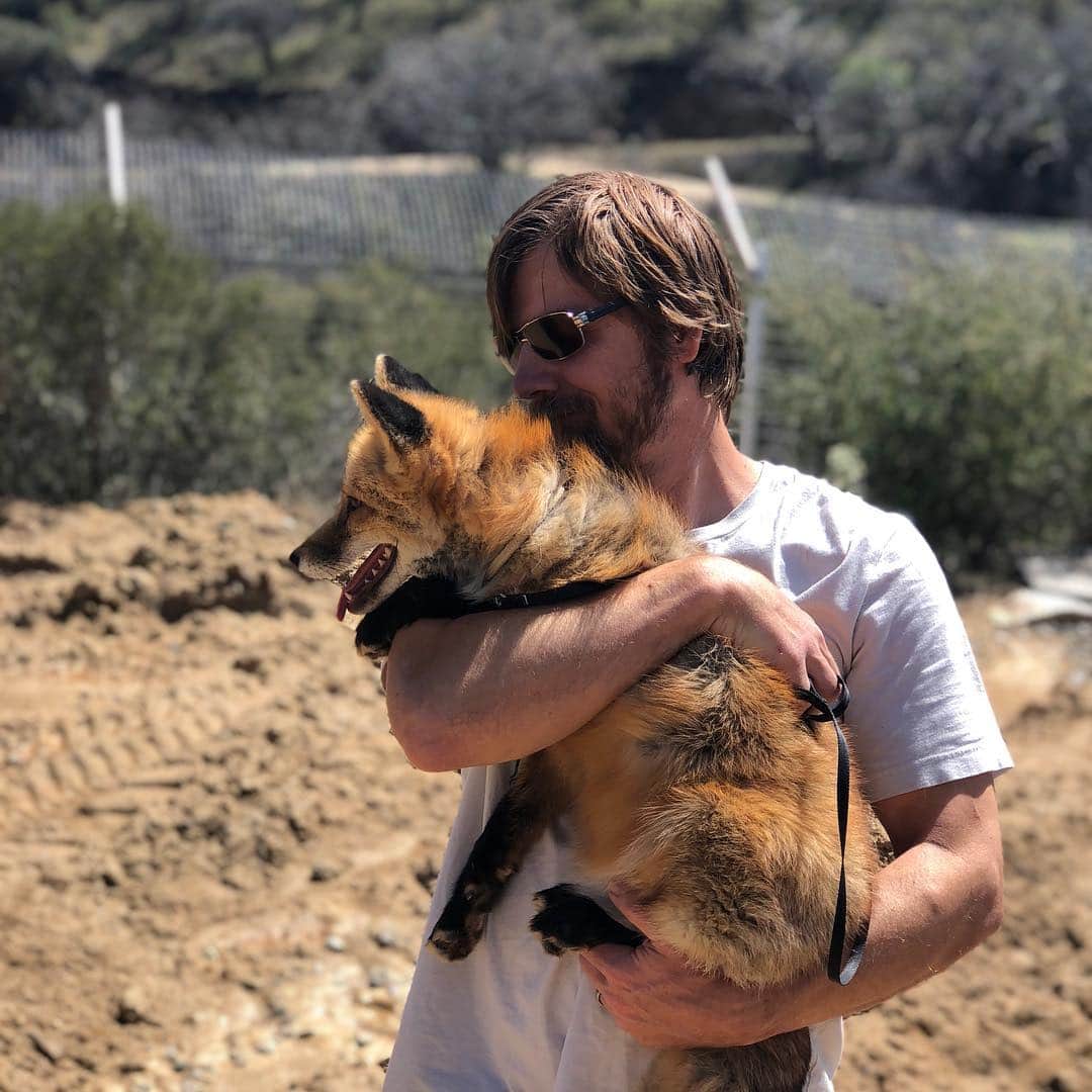 のインスタグラム：「A boy and his fox.... . Perfect way to end this amazing weekend!!! With the magic of the bond shared between Dave, the Co-Founder of the #jabcecc, and Viktor. . We are hoping to have our grand opening weekend late summer and are starting to plan!! If you would like to donate and item for the auction, sponsor dinner, drinks, provide entertainment, catering, decorate, etc... we will be starting to reach out!! . #lovefoxes #bond #ambassadors #animalencounters #foxencounters #canine #canidconservation #sunday #magic #boyandhisfox #foxes #meetafox #petafox #animallovers #restaurants #artists #catering #musicians #foxesofinstagram #sandiego #socal #sandiegoevents #sandiegolocal」