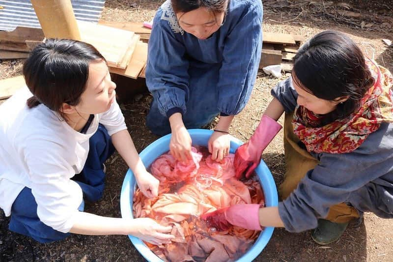 三宅洋平さんのインスタグラム写真 - (三宅洋平Instagram)「今年の春分も、みんなで染めワークショップをやりました。茜染めレクチャーをベースに、ベンガラ染めも。着古した服たちが、生まれ変わり、思い入れも深くなります。 #satoken #里山経済環境研究所 #naturaldyeing #草木染め #べんがら染め #冨田貴史 #冨貴工房」3月25日 9時19分 - miyake_yohei