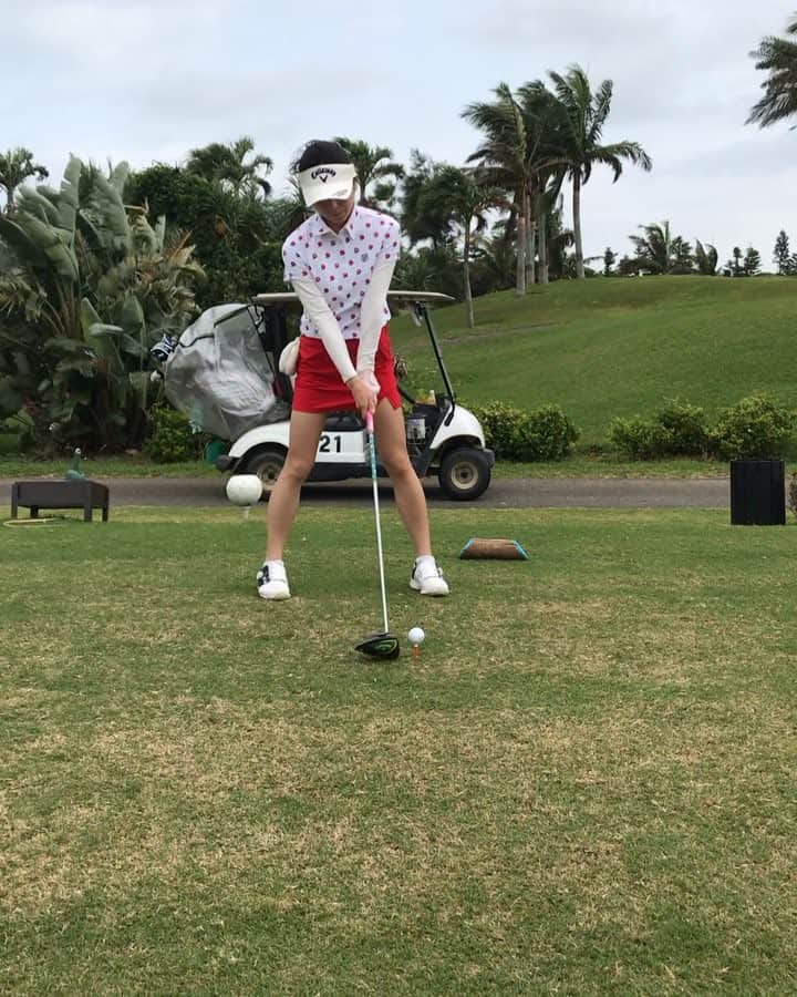 野田すみれのグルメインスタ