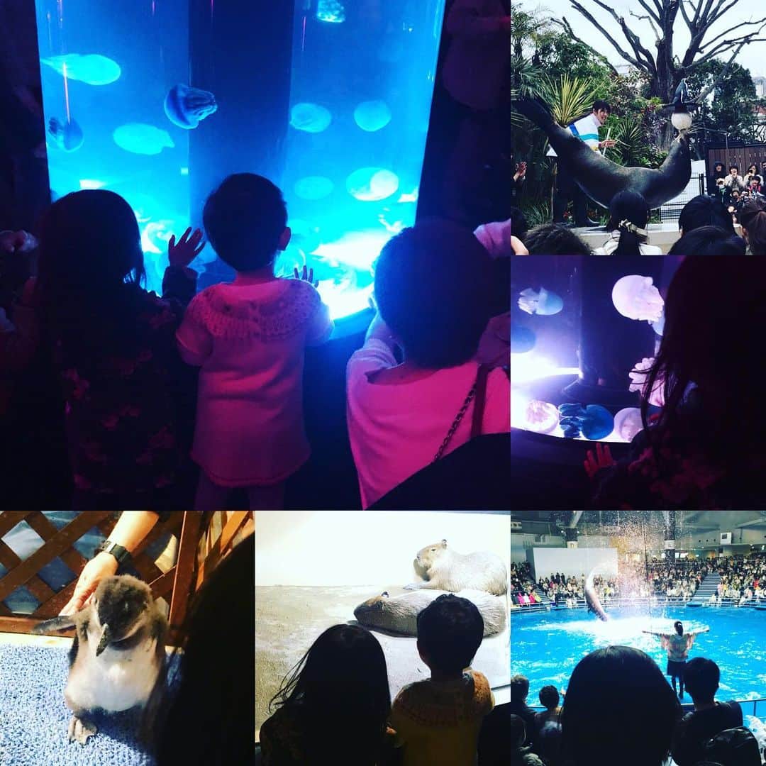 のインスタグラム：「アクアパーク品川へ お友達親娘と🐬✨ 子ども同士「初めまして。」だけど あっという間に仲良くなって🌸 手を繋いで歩いたり、 並んで水槽を覗き込む姿は、 親バカまっしぐらになるほど 後ろ姿にキュンと来てしまいます💕  今月末まで、ペンギンのベビーも 特別なエリアで観ることが出来て、 ふわふわのぬいぐるみのような 可愛いさに皆んなで笑顔💕  ママさんとは二度目まして！ だったのですが、 同い年の子どもを持つ者同士の オススメアイテム等の情報交換は 本当にありがたくて💕 さらにすぐ詳細情報を メールしてくれて嬉しい限り🍀  周りに素敵なママ達がいることで、 どれだけ助けられているか！ 冬は寒さとインフル対策で、 お出掛けの頻度が減っていたので、 暖かくなってきて、 こうやって親子で会う機会が増え、 改めてそのありがたさを感じます🍀🍀🍀 #アクアパーク品川 #水族館 #お友達親娘と #育児 #2歳10ヶ月 #子連れお出かけ #春 #ペンギンの赤ちゃん #🐧 #ツタエルヒト。」