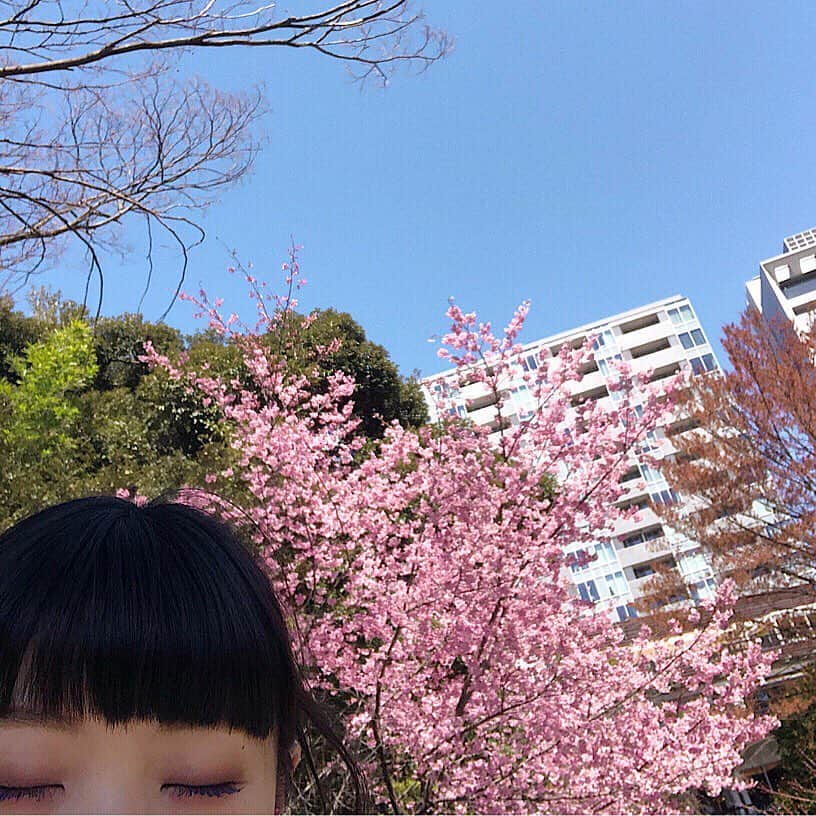 相羽瑠奈さんのインスタグラム写真 - (相羽瑠奈Instagram)「🌸🌸🌸🌸🌸🌸🌸」3月25日 9時59分 - rone.runa