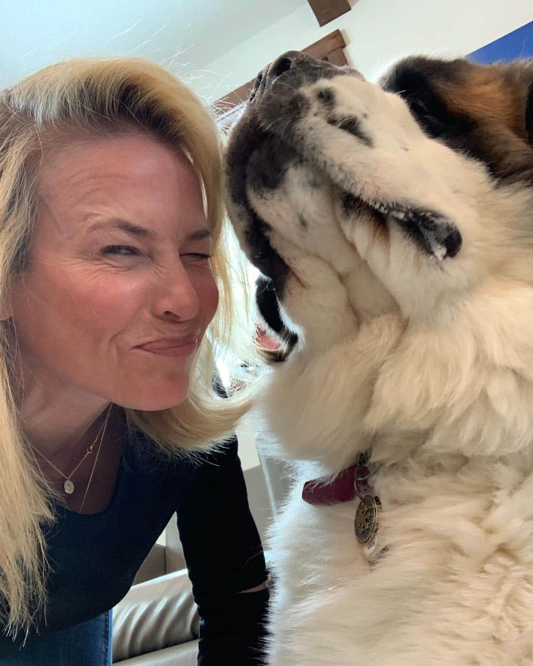 チェルシー・ハンドラーさんのインスタグラム写真 - (チェルシー・ハンドラーInstagram)「Bert!! This is Finnigan. He kissed me on the mouth the minute we met. Wake up!」3月25日 10時13分 - chelseahandler