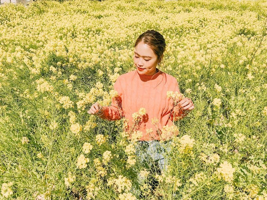 井村亜里香さんのインスタグラム写真 - (井村亜里香Instagram)「伊豆にぶらり旅な昨日🌼 目的地に向かっていたら菜の花畑を発見🙃🌼🌼 可愛い菜の花に癒されたのだけど花の香りは🤢という 感じでした😂😂😂笑 ・ #izu#izutrip#nanohana#shizuoka #arika_travel #伊豆旅行#菜の花畑#菜の花#南伊豆#静岡県」3月25日 15時46分 - arika_imura