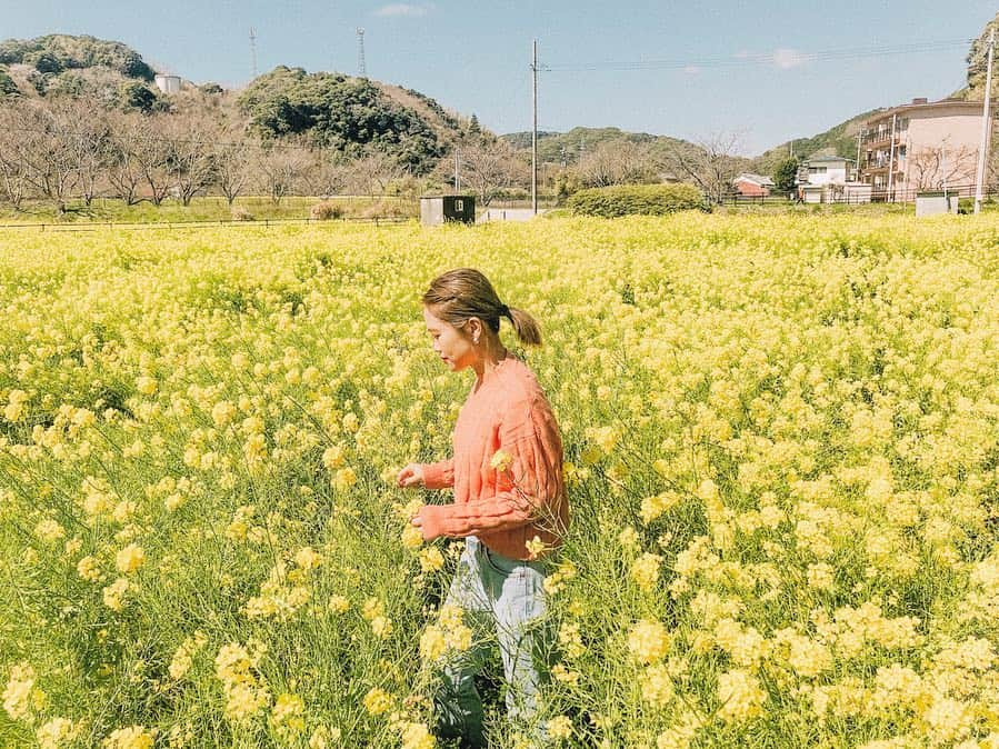 井村亜里香さんのインスタグラム写真 - (井村亜里香Instagram)「伊豆にぶらり旅な昨日🌼 目的地に向かっていたら菜の花畑を発見🙃🌼🌼 可愛い菜の花に癒されたのだけど花の香りは🤢という 感じでした😂😂😂笑 ・ #izu#izutrip#nanohana#shizuoka #arika_travel #伊豆旅行#菜の花畑#菜の花#南伊豆#静岡県」3月25日 15時46分 - arika_imura