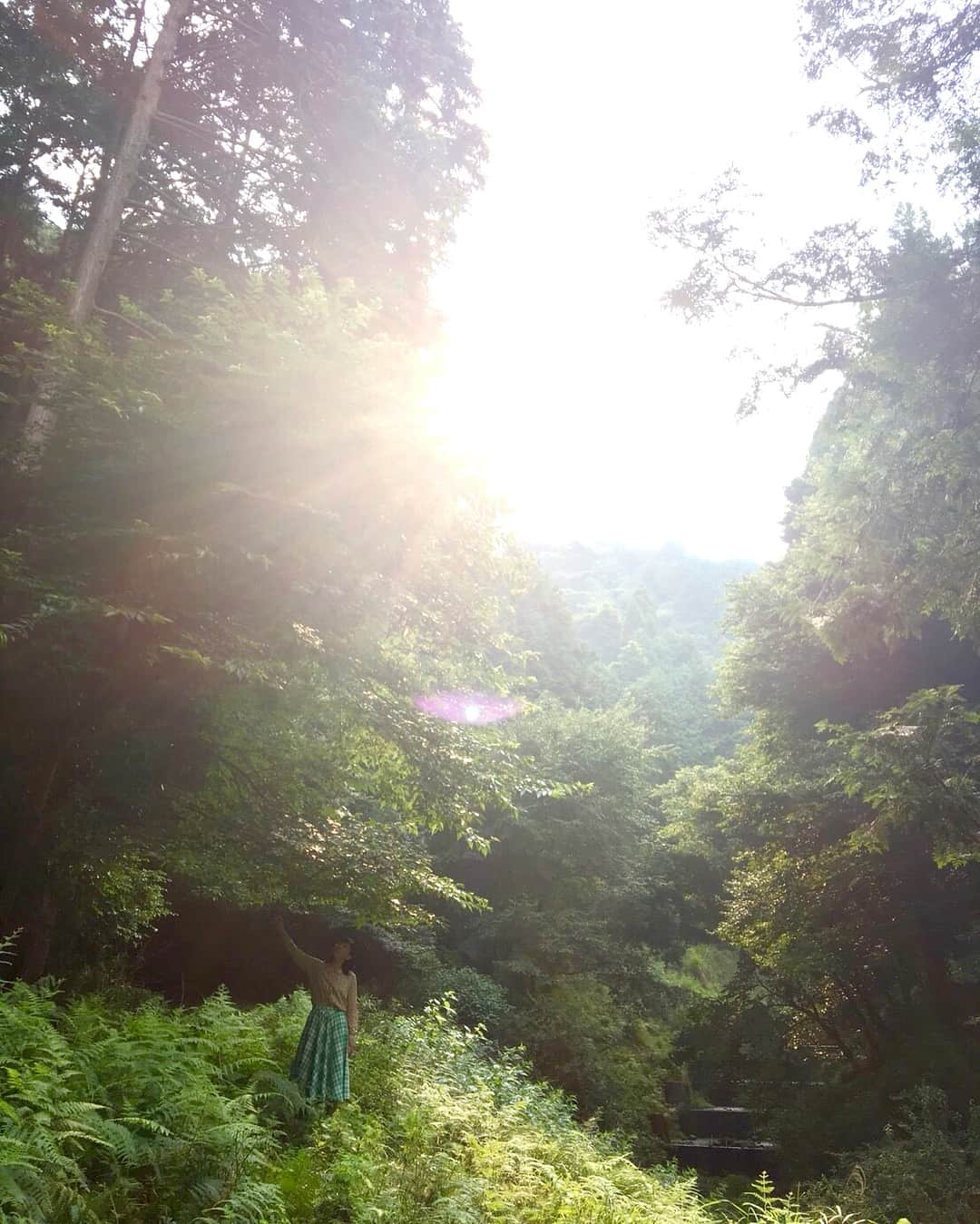 安藤サクラさんのインスタグラム写真 - (安藤サクラInstagram)「タイトルバック🌲オフショット🌳🌱🌲🌳🌞🌳日吉大社にて。」3月25日 10時33分 - sakuraando