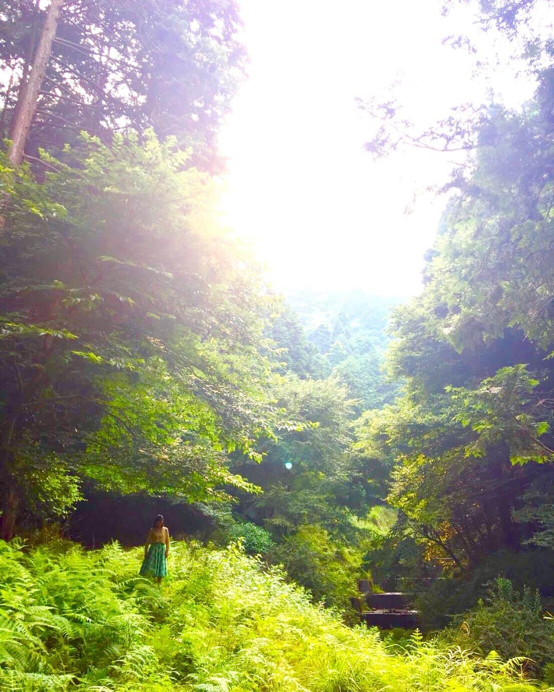 安藤サクラさんのインスタグラム写真 - (安藤サクラInstagram)「タイトルバック🌲オフショット🌳🌱🌲🌳🌞🌳日吉大社にて。」3月25日 10時33分 - sakuraando